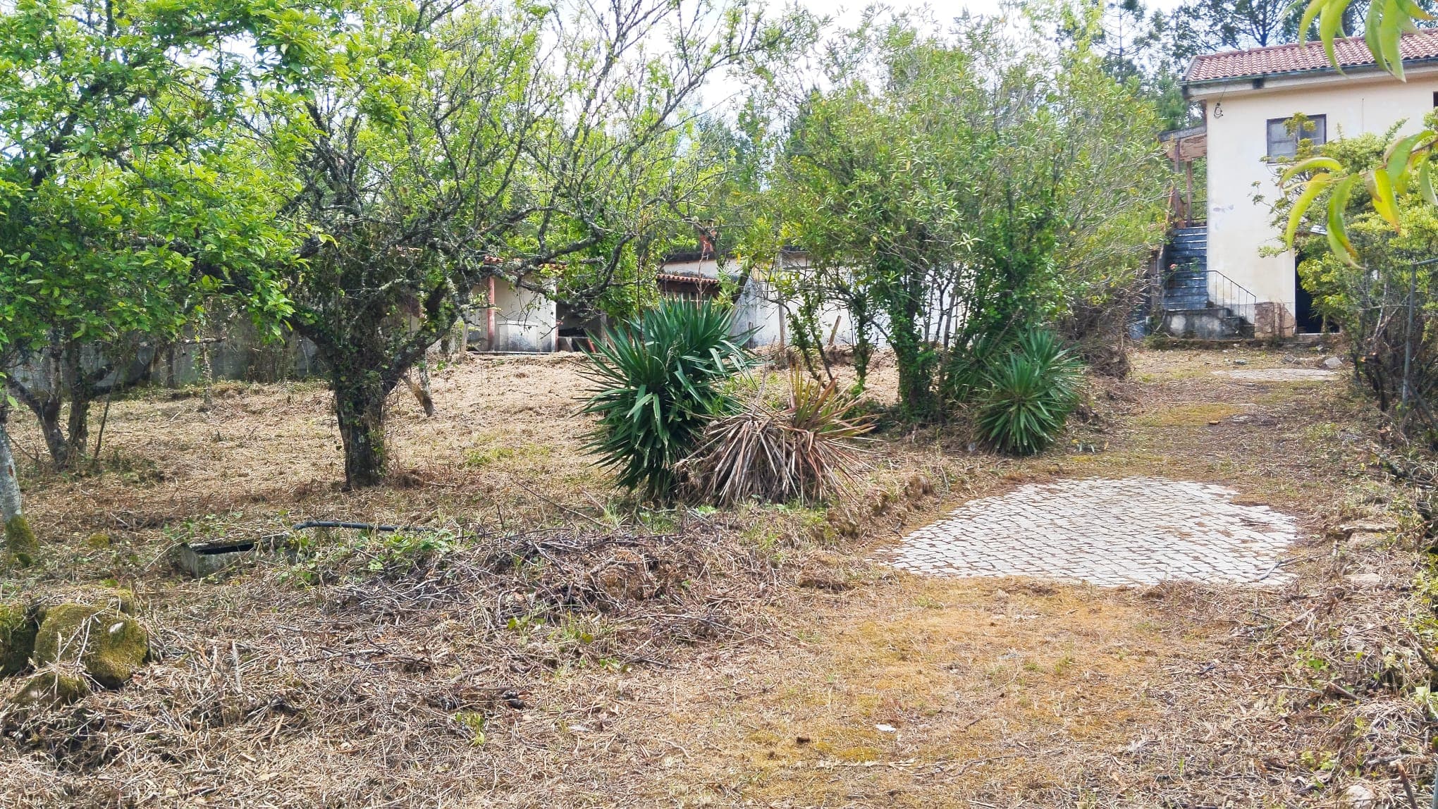 Moradia com quintal · Condeixa-a-Nova, Coimbra — imagen 10