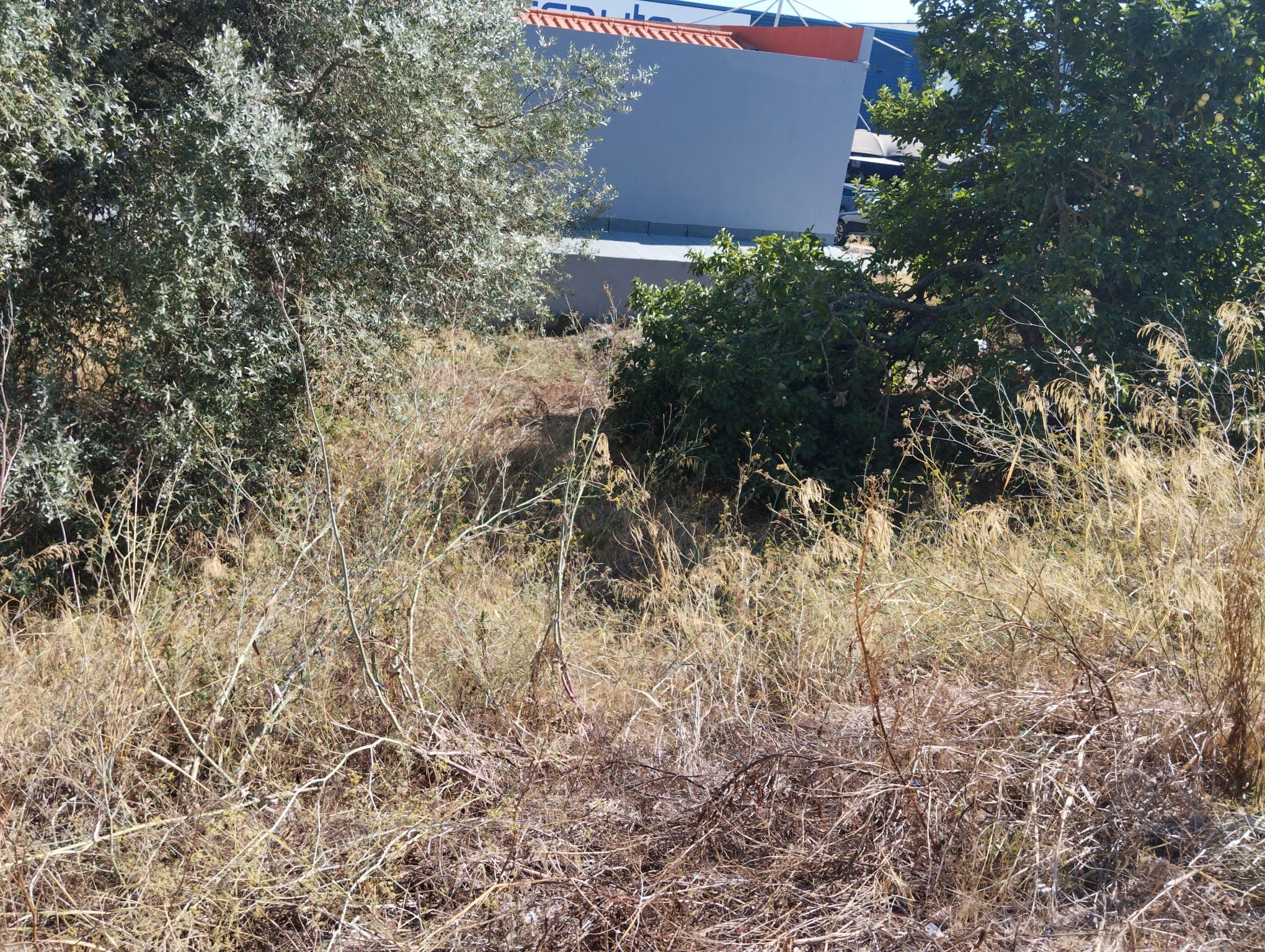 Terreno para Construção · Mina de Água, Amadora — imagem 2