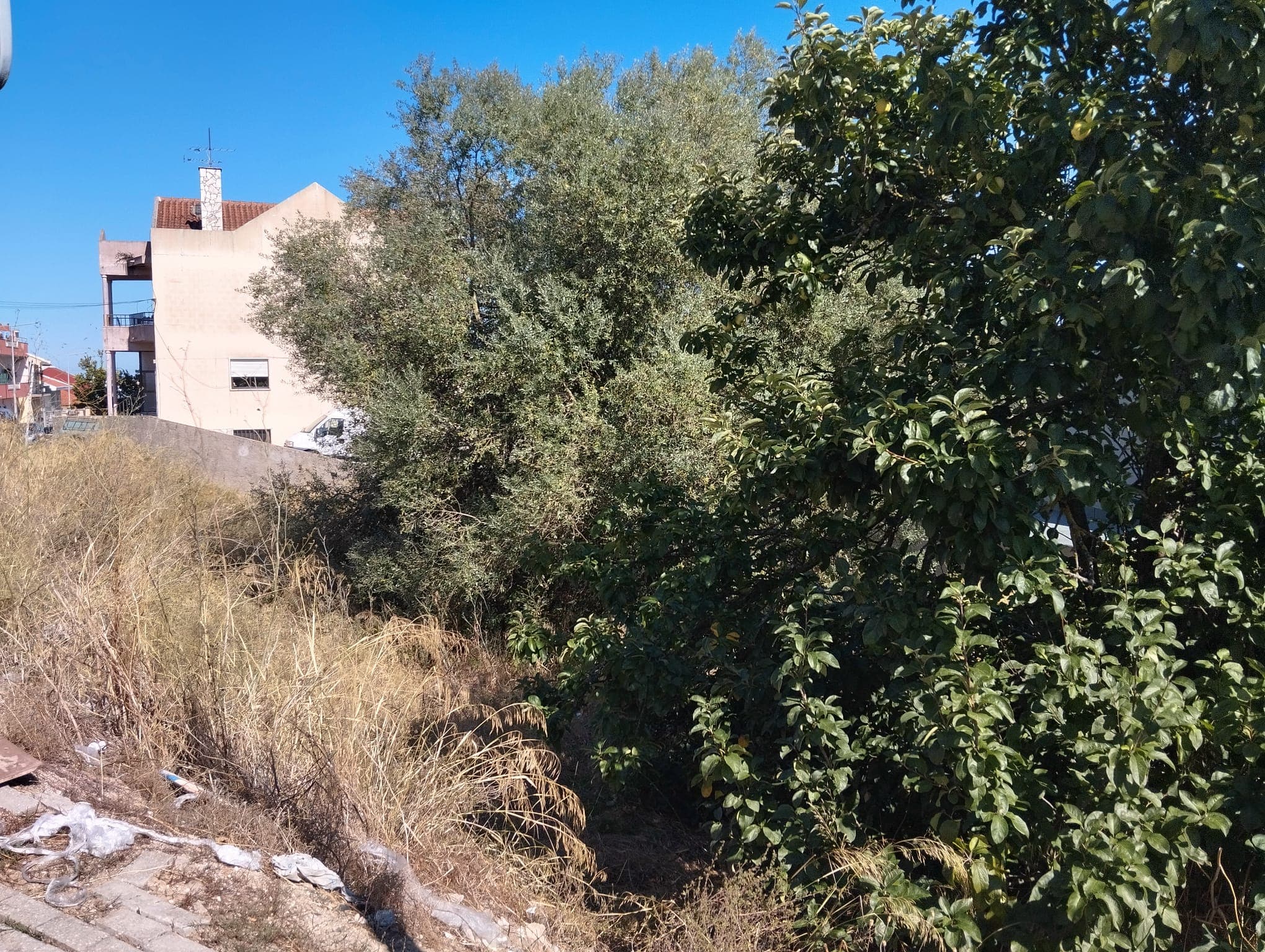 Terreno para Construção · Mina de Água, Amadora — imagem 3