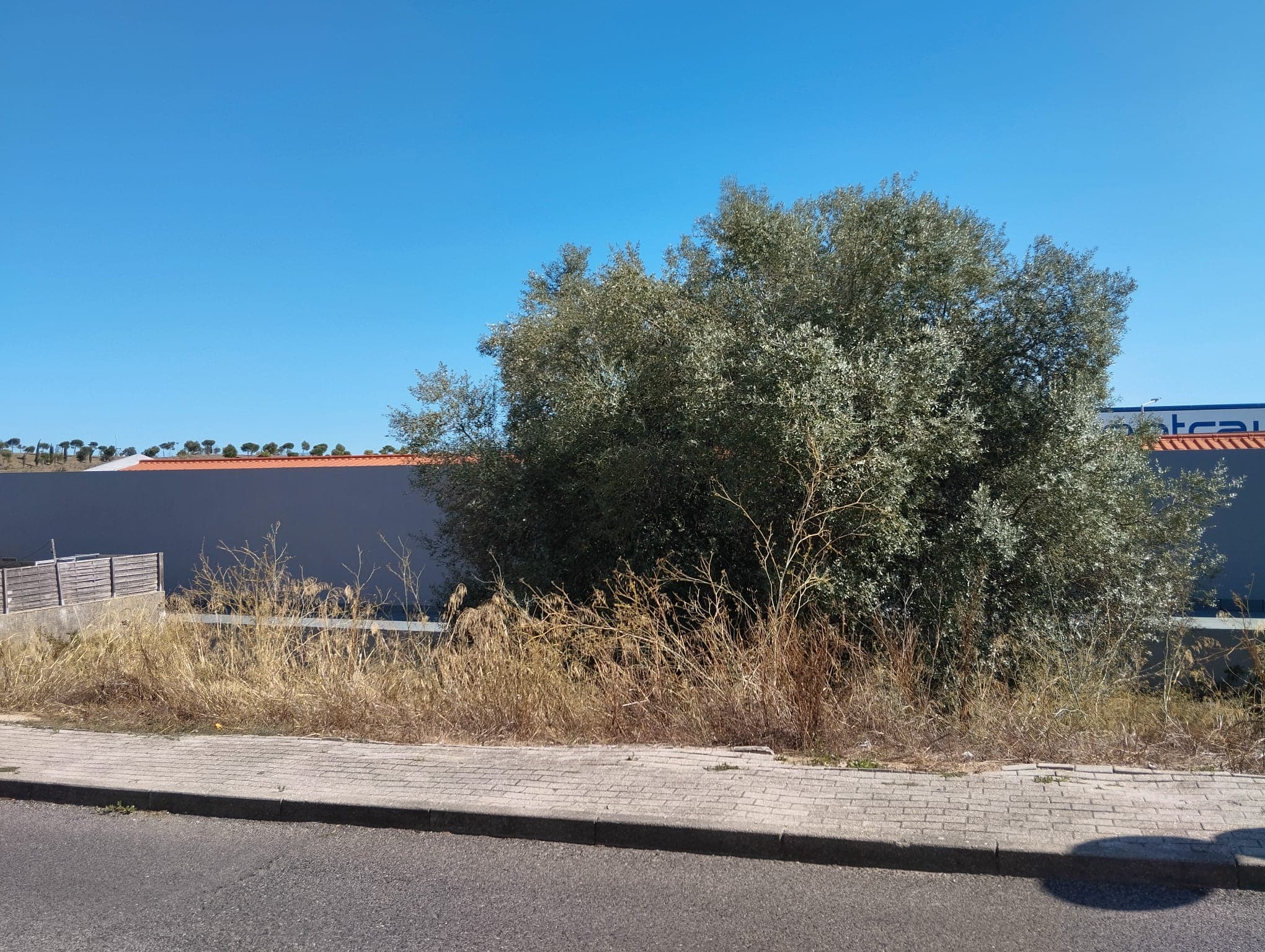 Terreno para Construção · Mina de Água, Amadora — imagem 4