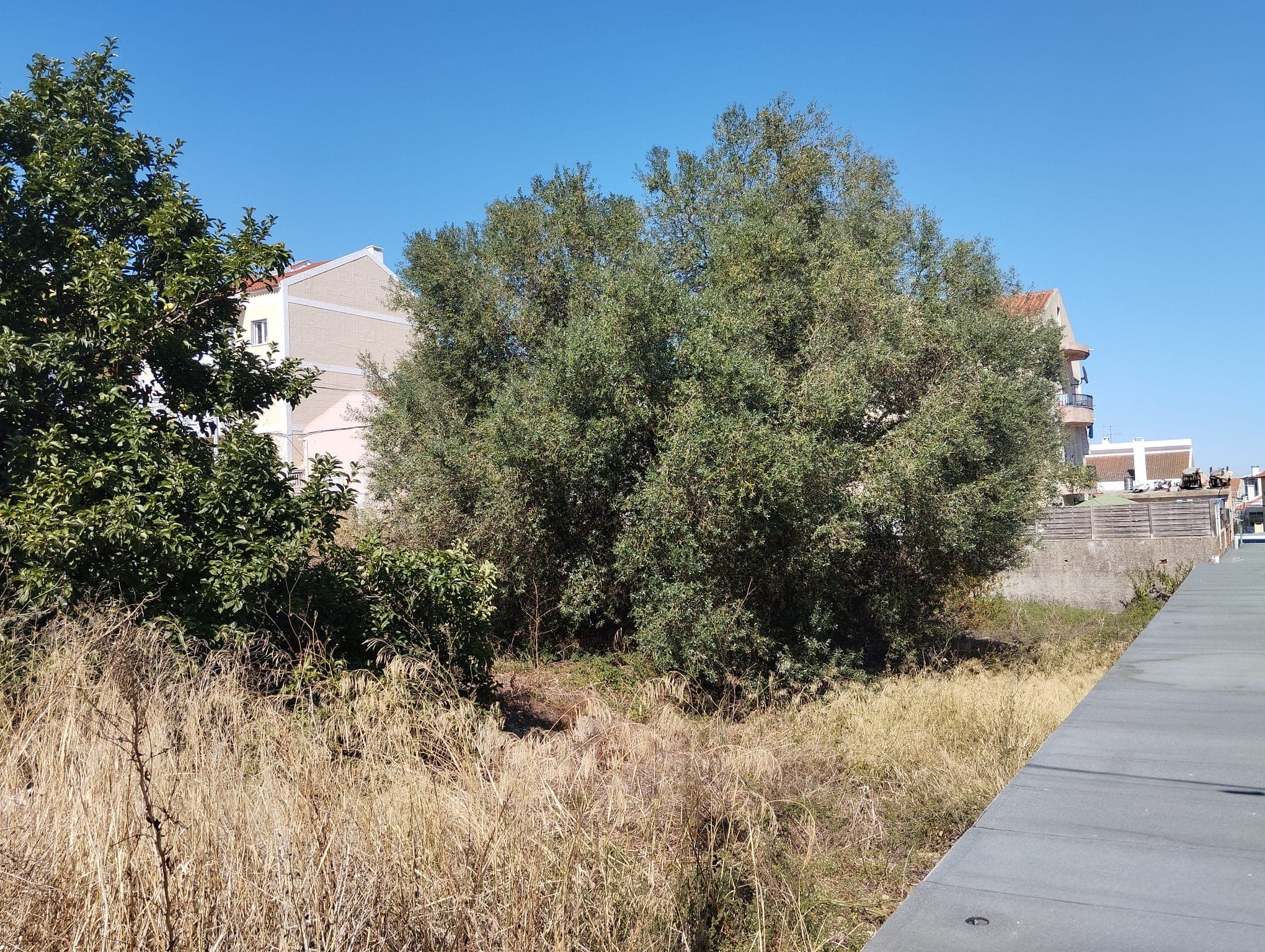 Terreno para Construção · Mina de Água, Amadora — imagem 3