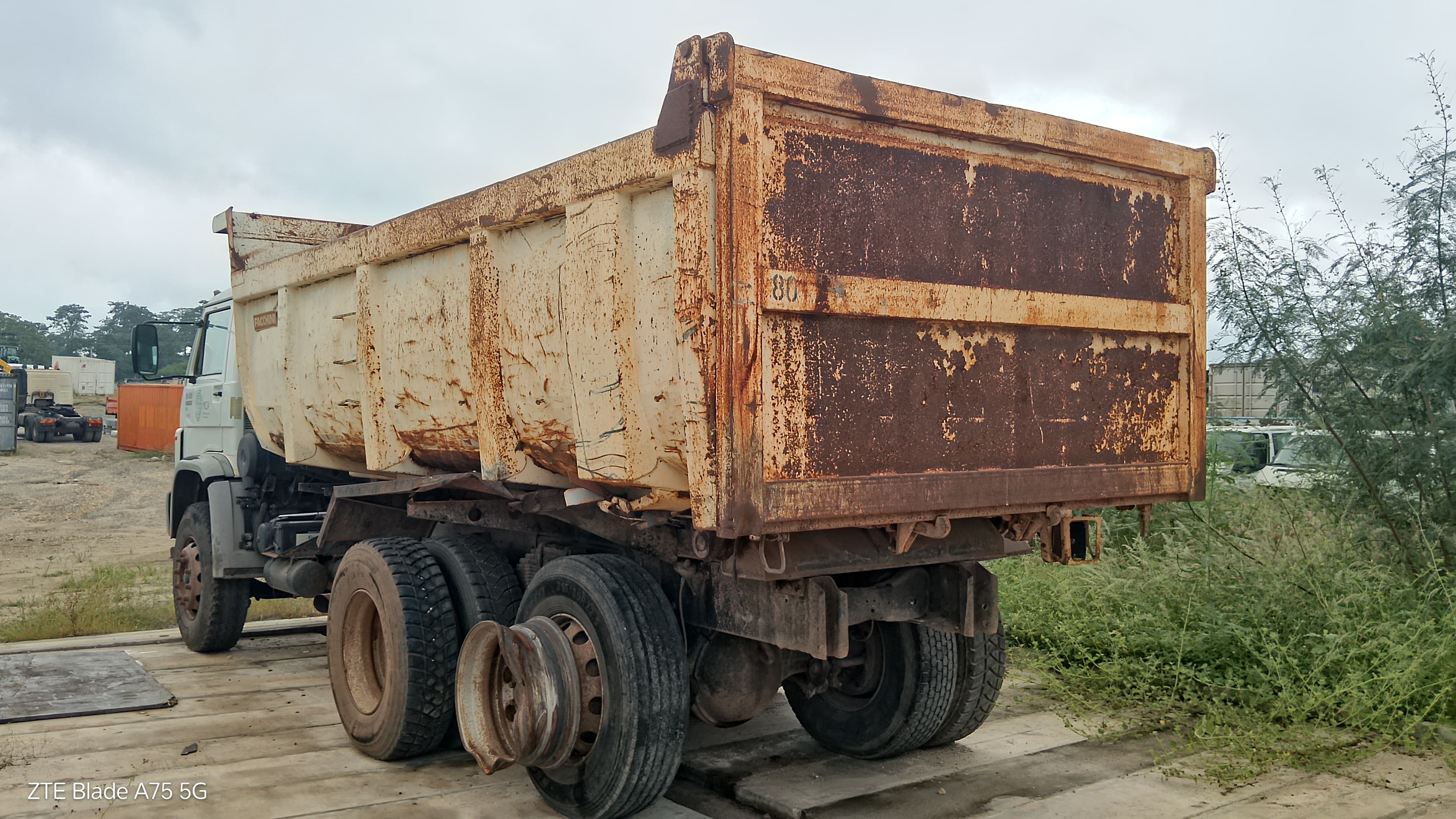 VW Worker 31-310 — imagen 5