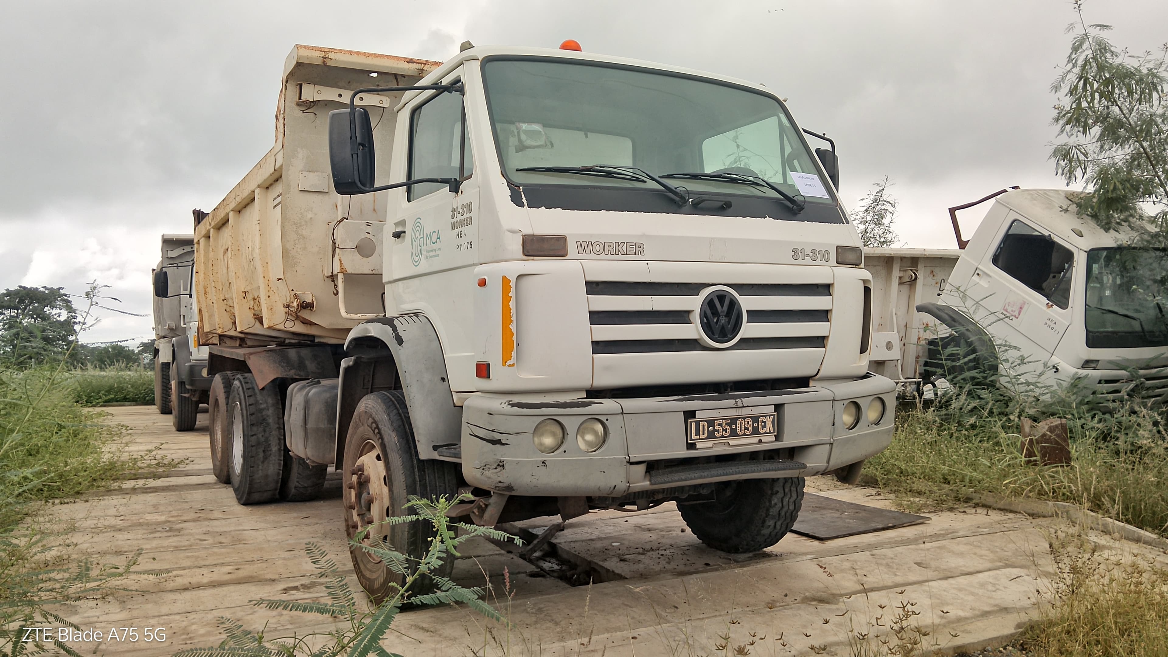 VW Worker 31-310 — imagen 3