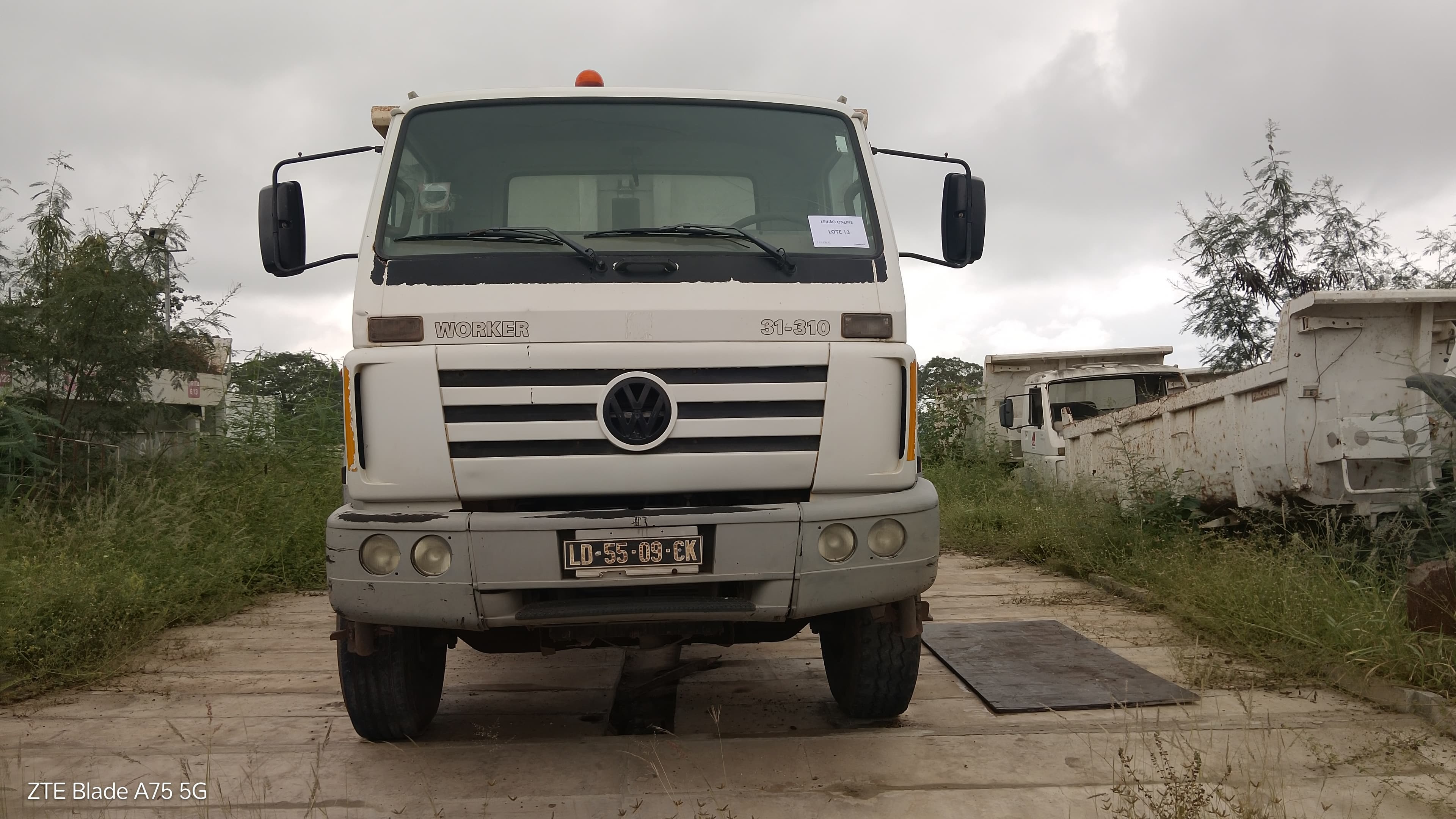 VW Worker 31-310 — imagen 2