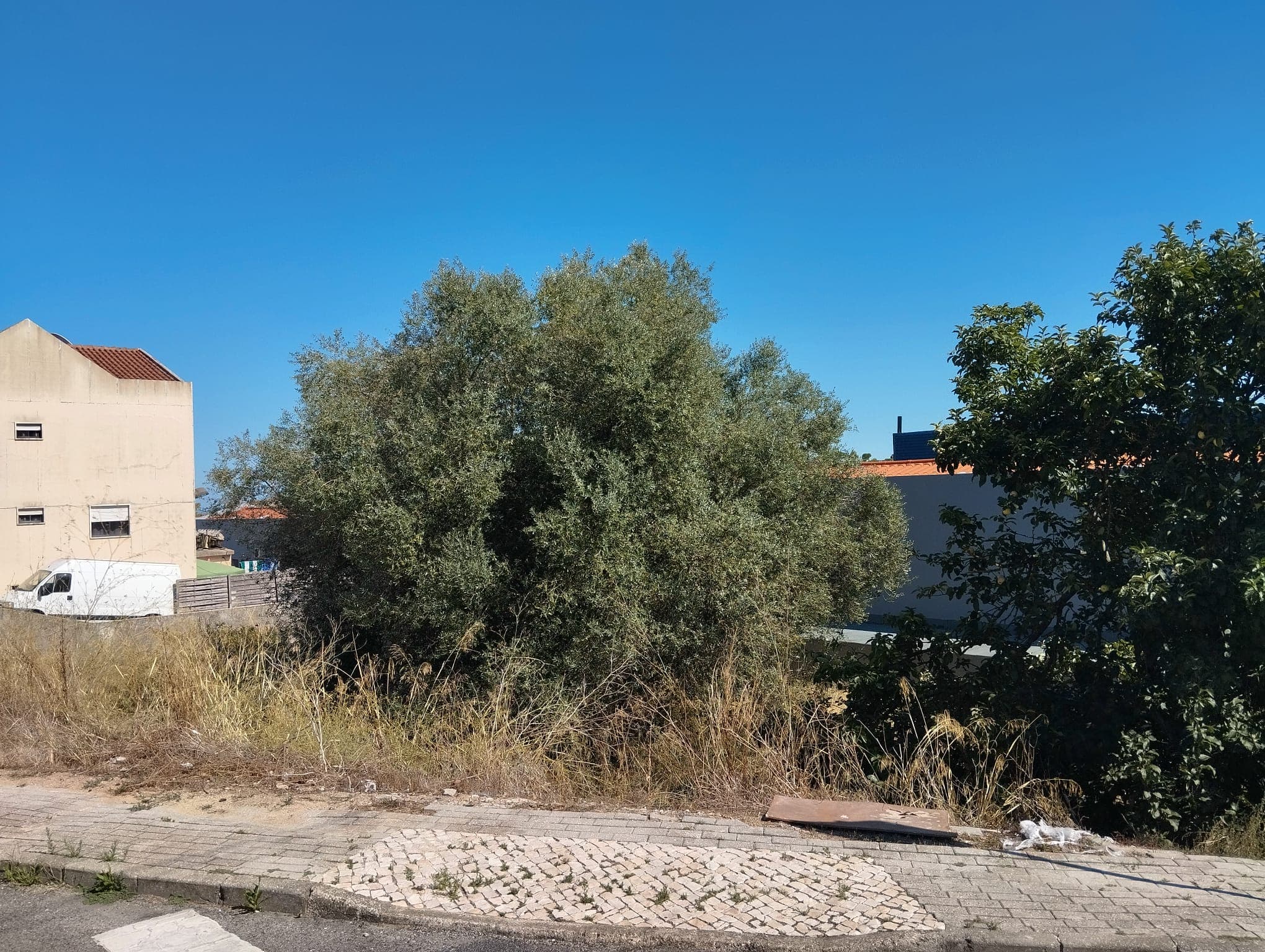 Terrenos para Construção · Mina de Água, Amadora — image 3