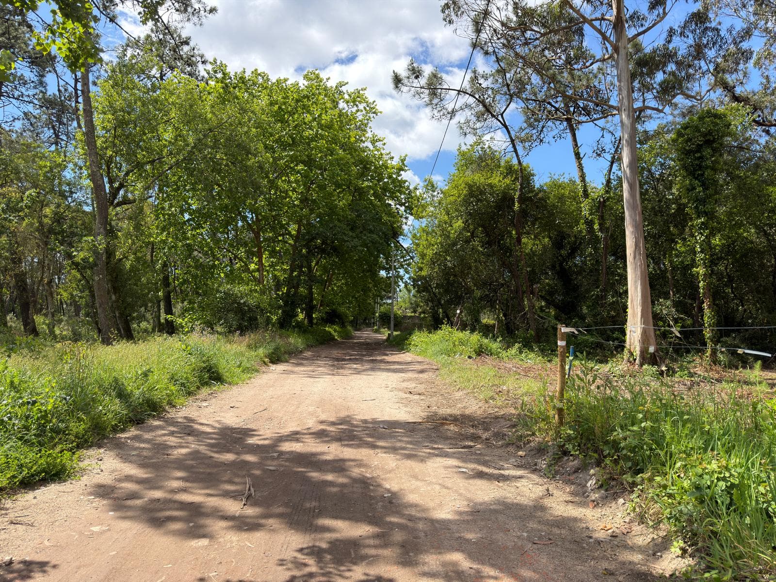 Terreno Rústico · Fão, Esposende — imagen 7
