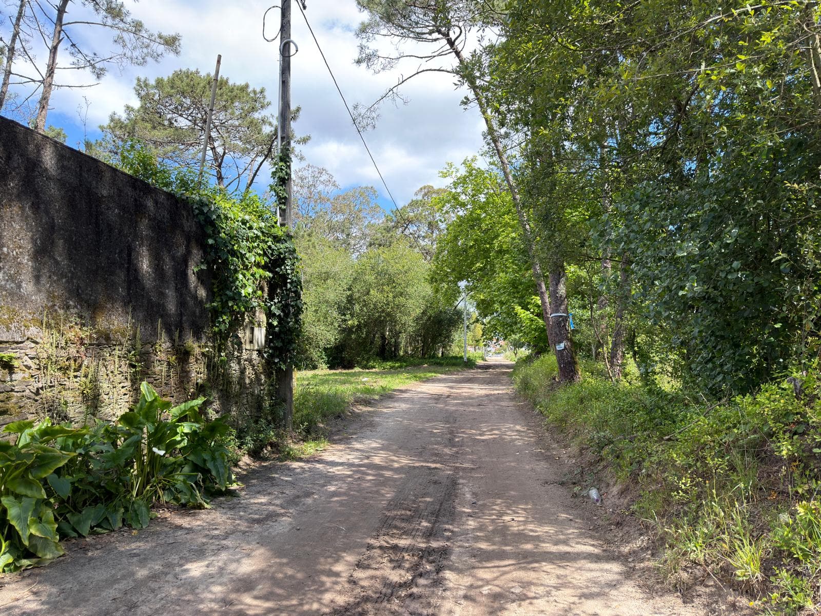 Terreno Rústico · Fão, Esposende — imagen 6