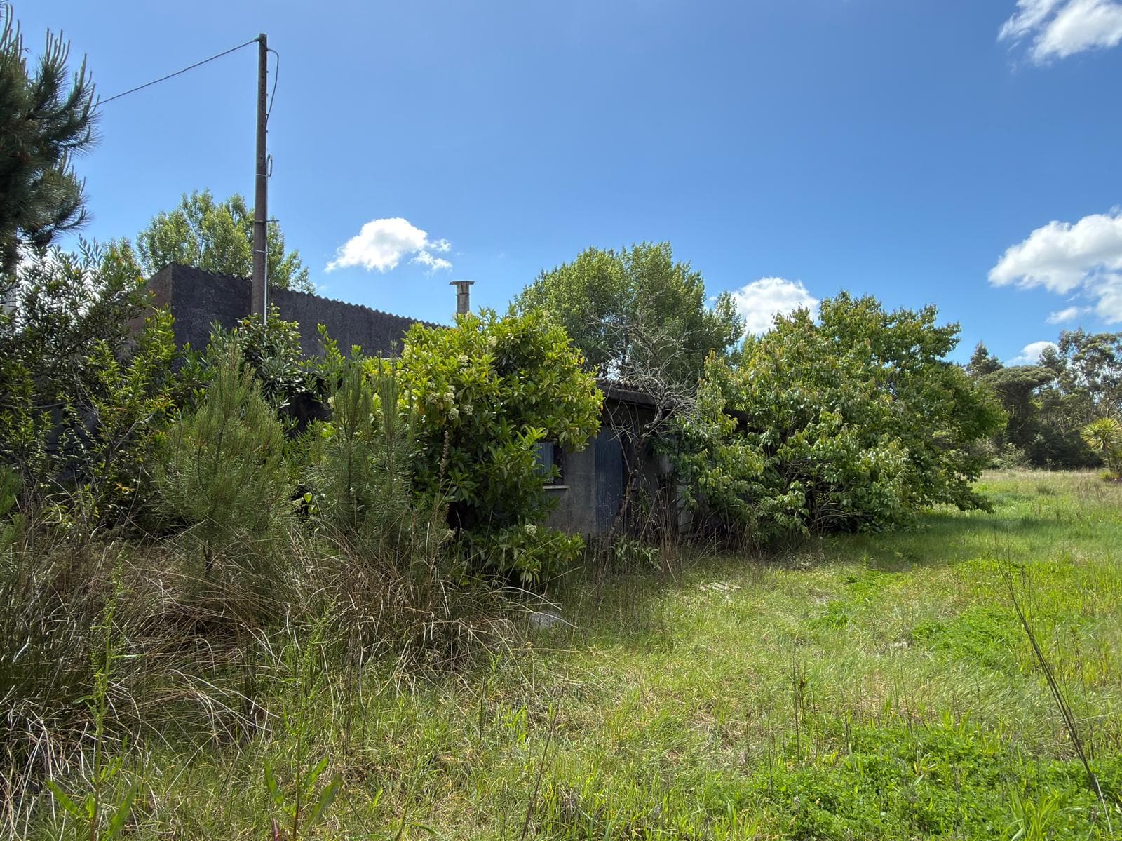 Terreno Rústico · Fão, Esposende — imagen 3