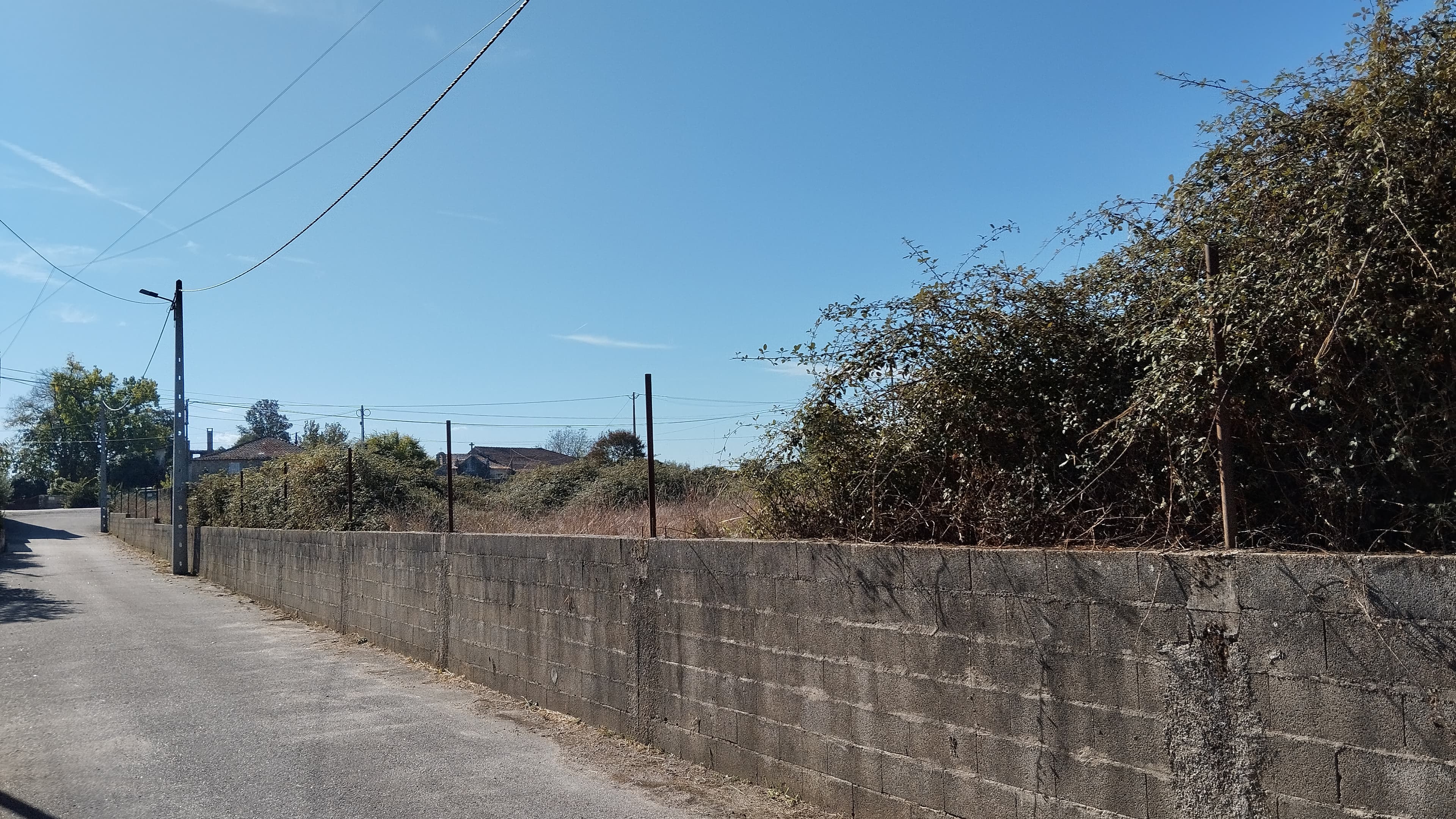 Terrain à bâtir · São João de Areias, Santa Comba Dão — image 5