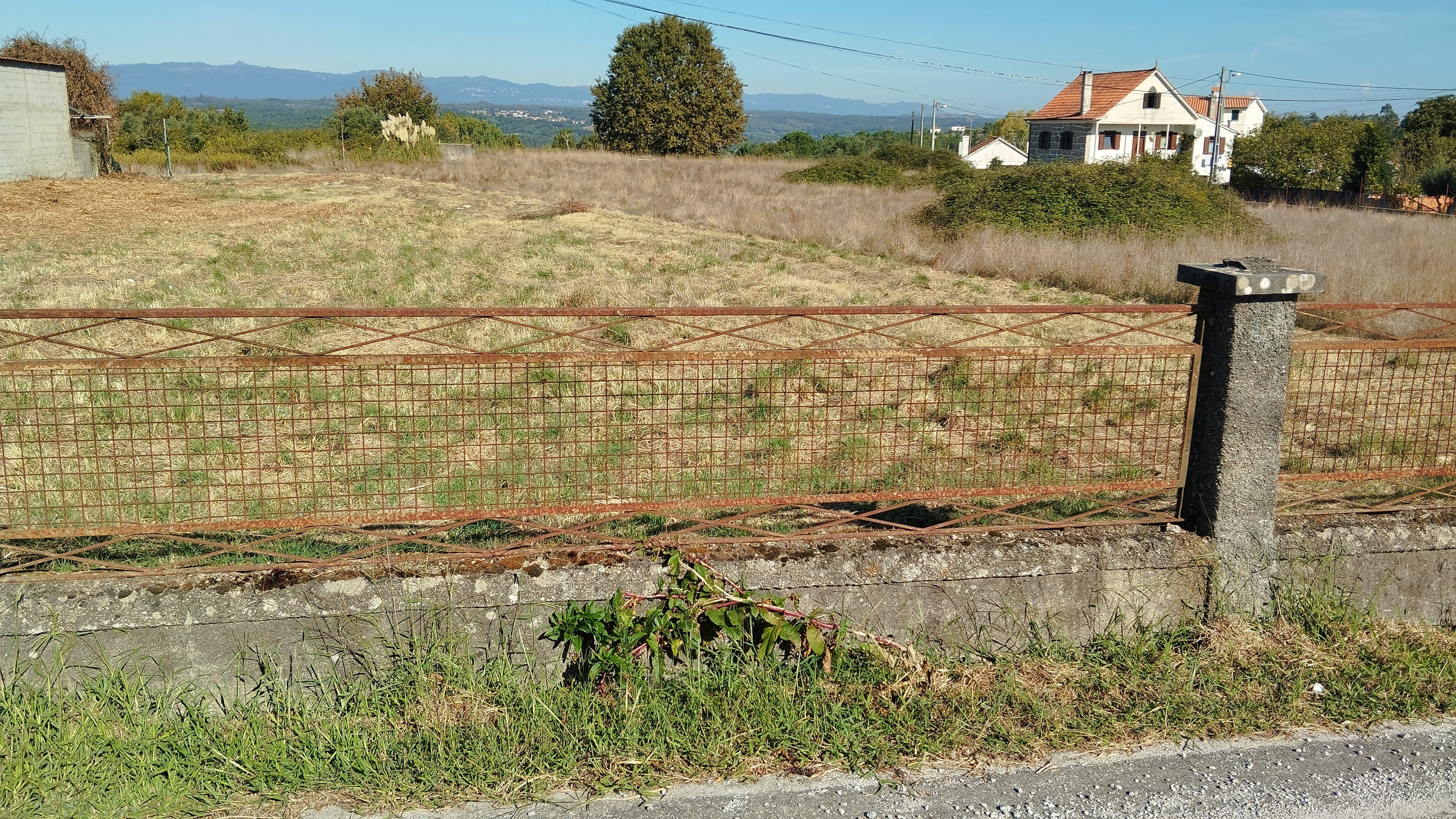 Terrain à bâtir · São João de Areias, Santa Comba Dão — image 3