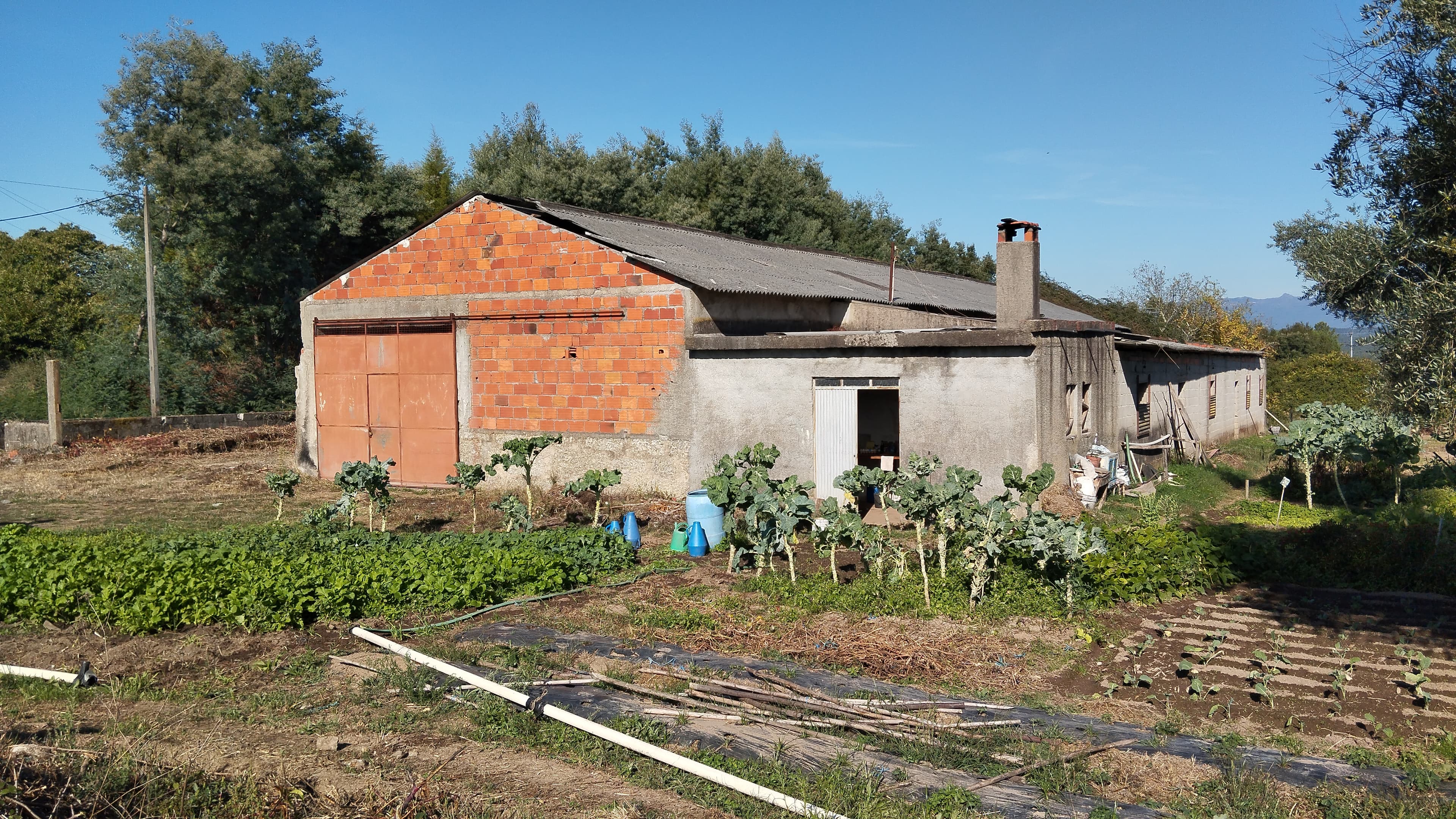 Warehouse · Santa Comba Dão, Viseu — image 3