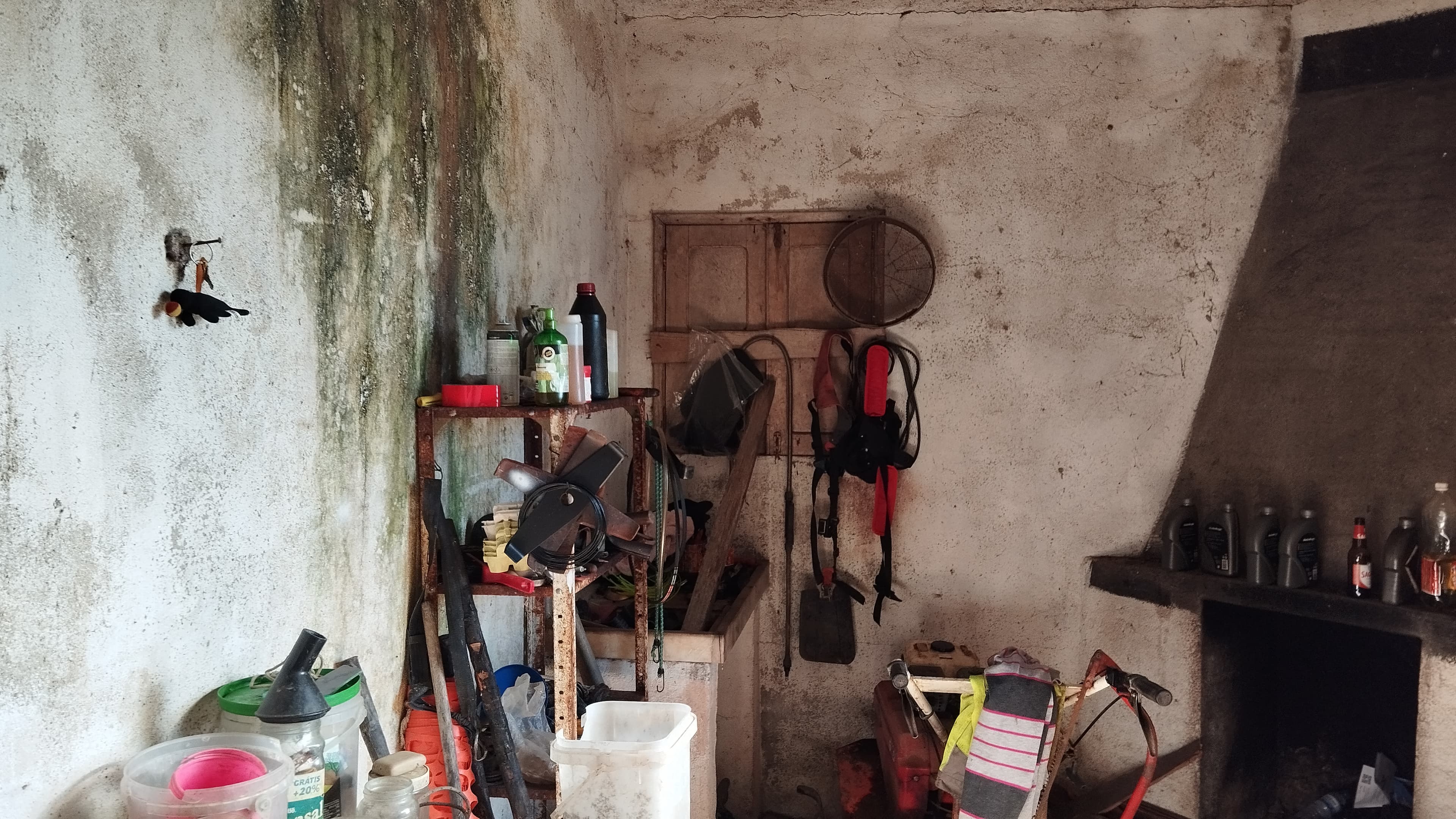 Warehouse · Santa Comba Dão, Viseu — image 6