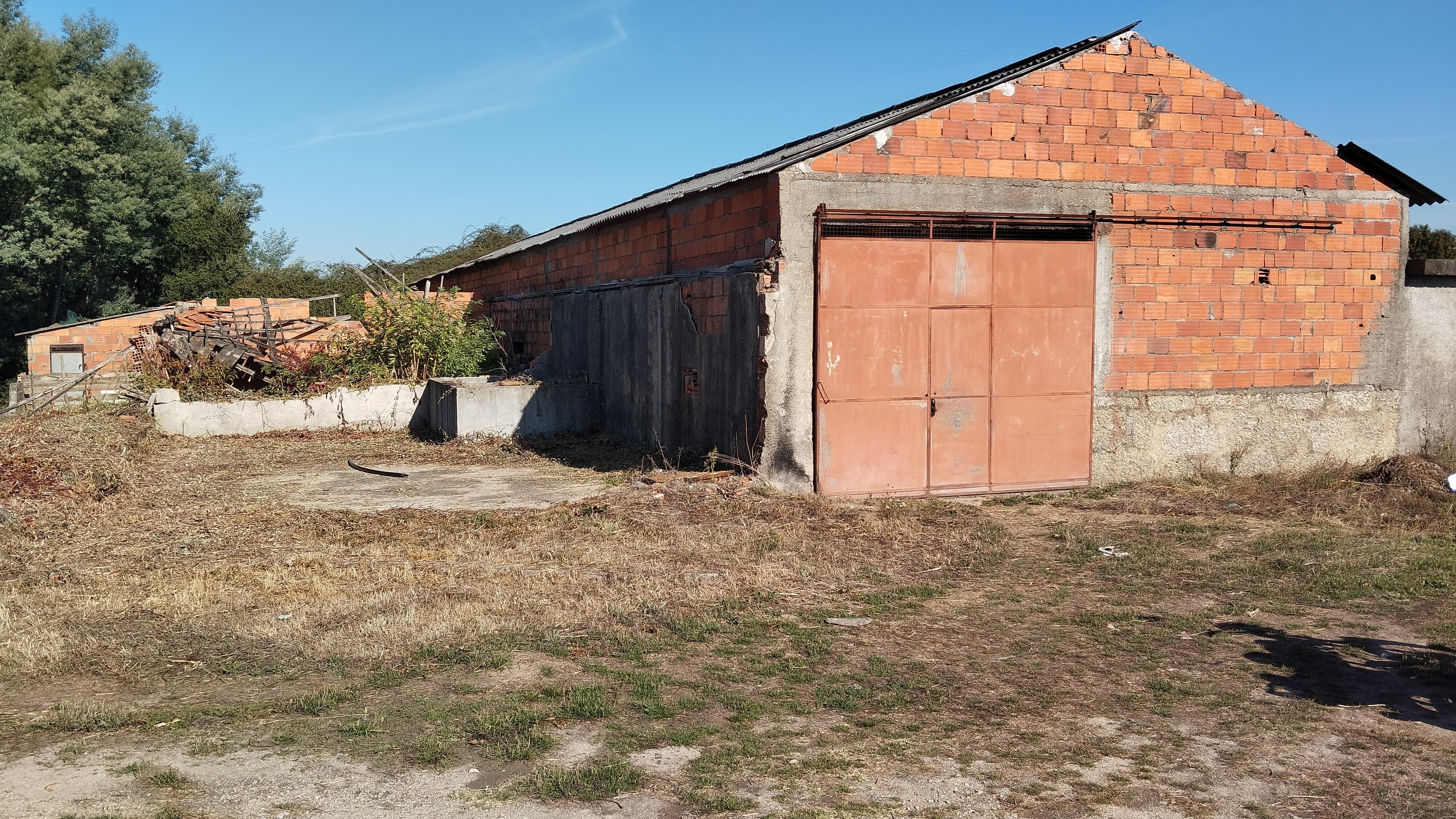 Warehouse · Santa Comba Dão, Viseu — image 4