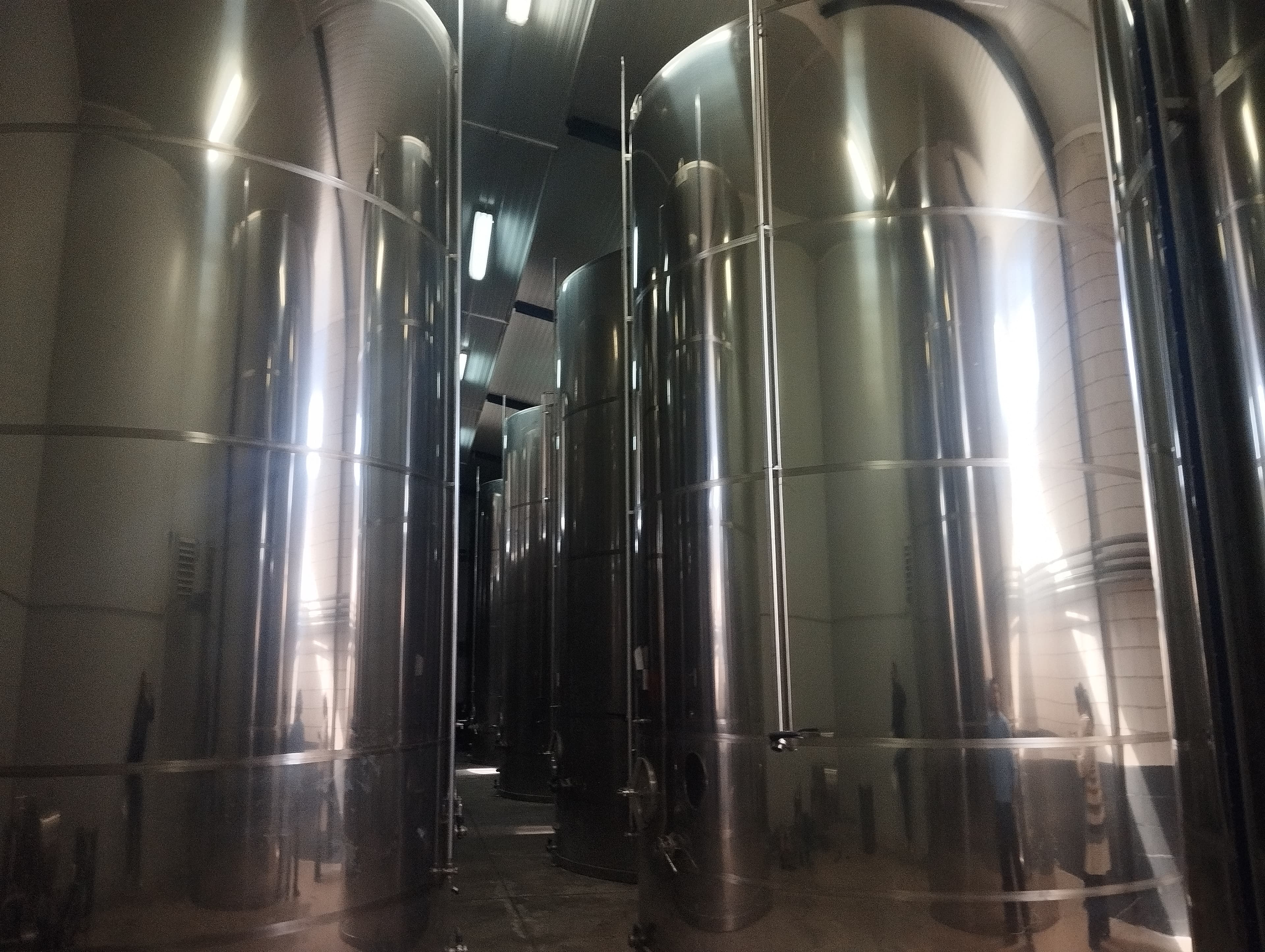 Equipamentos para a Produção de Azeite — imagem 40