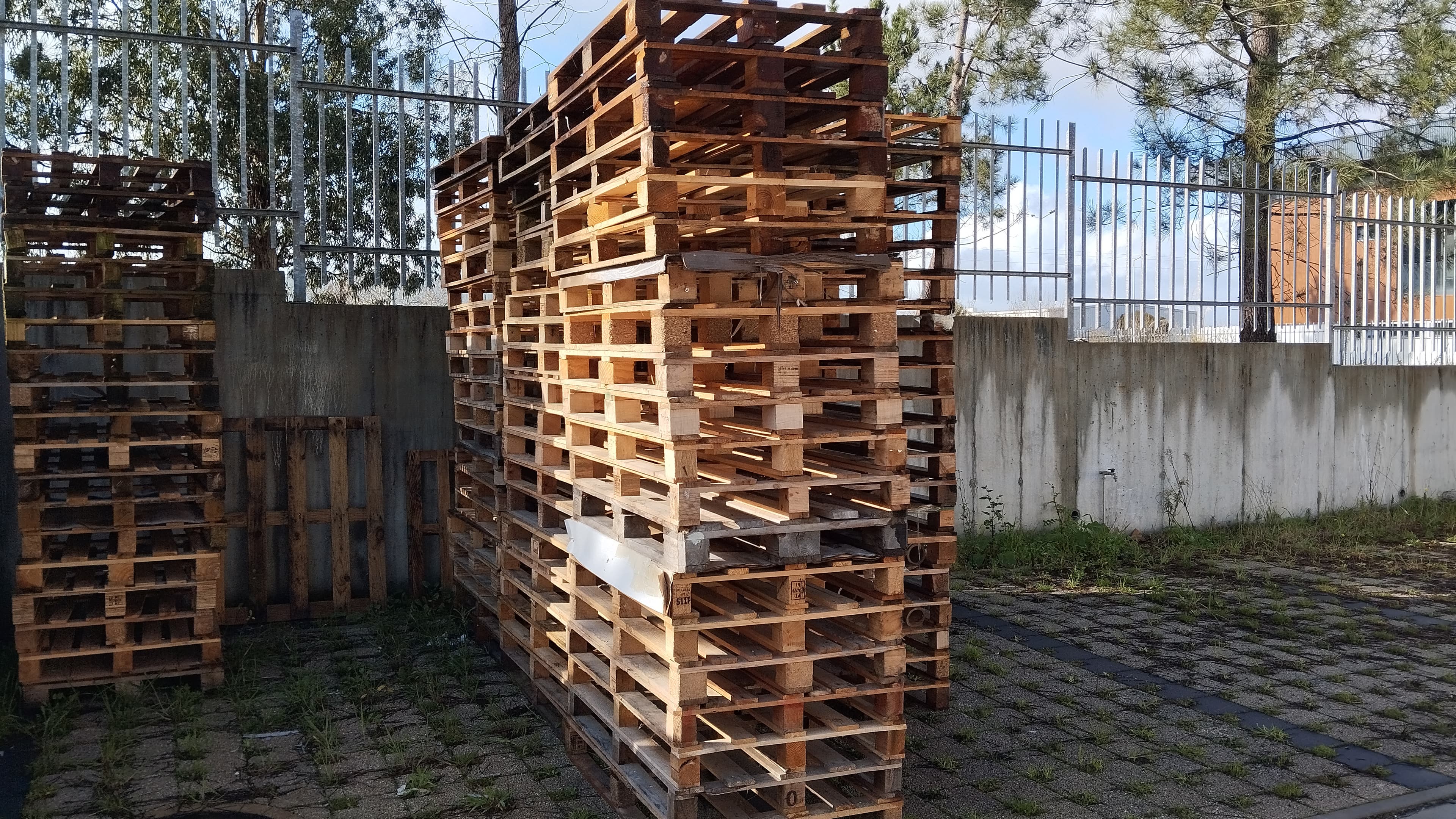Paletes — image 4