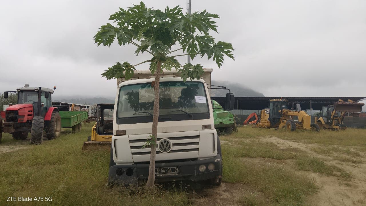 Camião Basculante VW Worker 31-310 — image 7