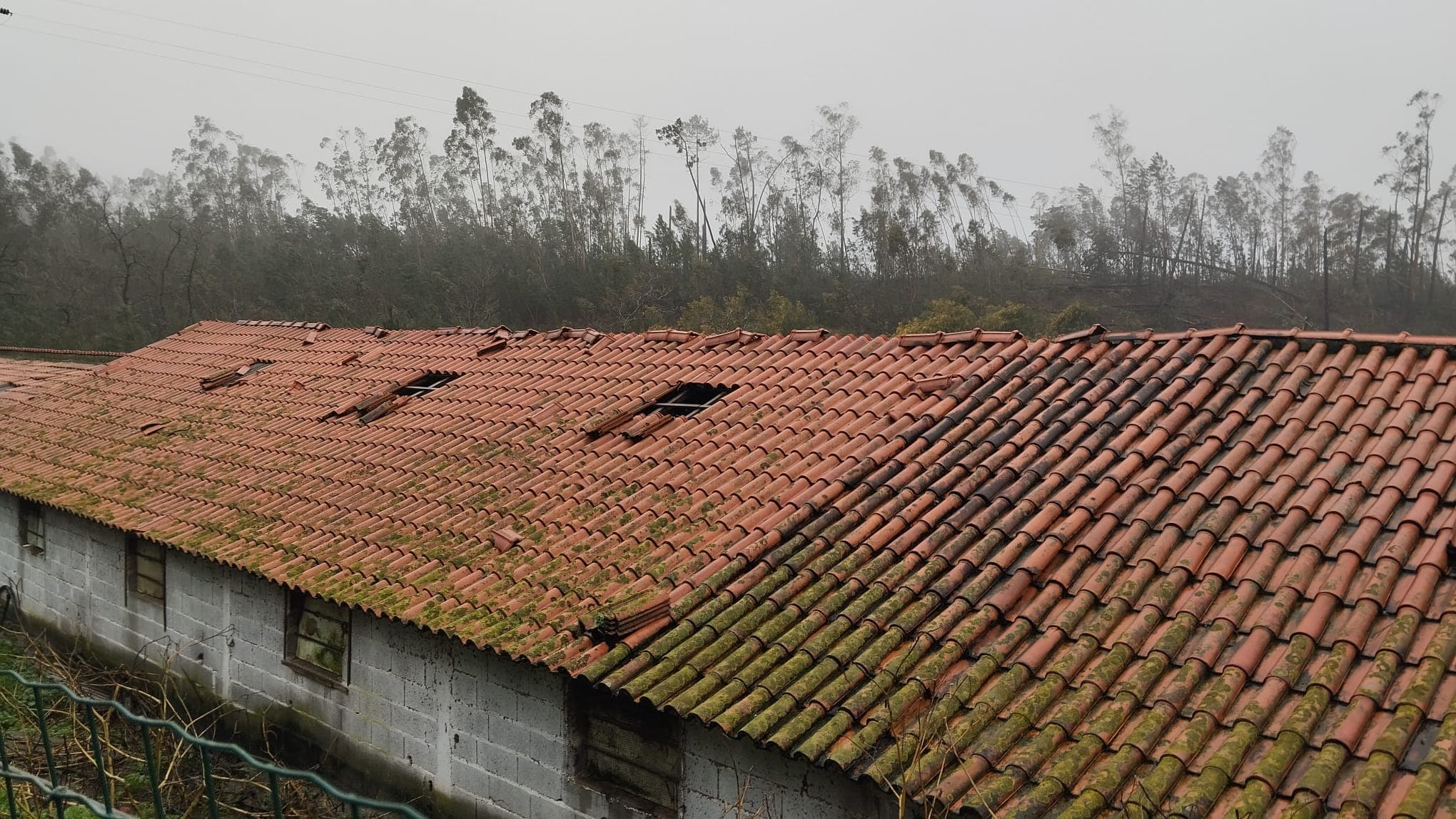 Armazém · Pombal, Leiria — imagen 6