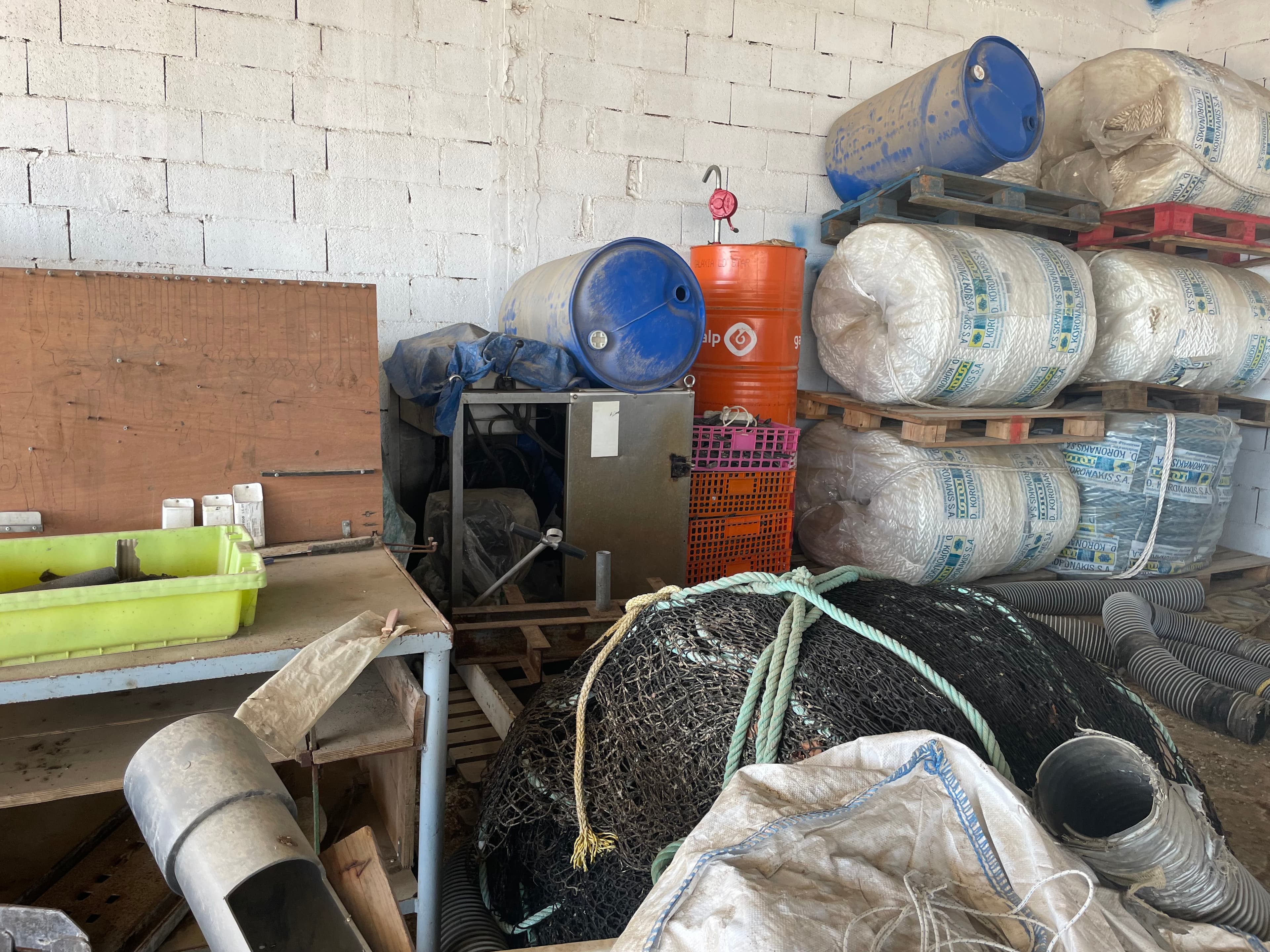 Seleccionador de Peixe — imagen 5