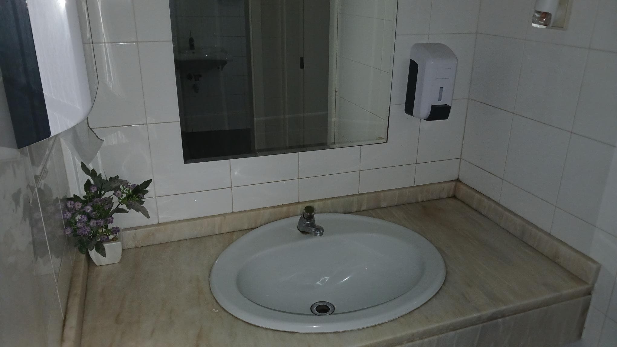 Loja + Equipamento de Hotelaria · Vieira do Minho — image 7