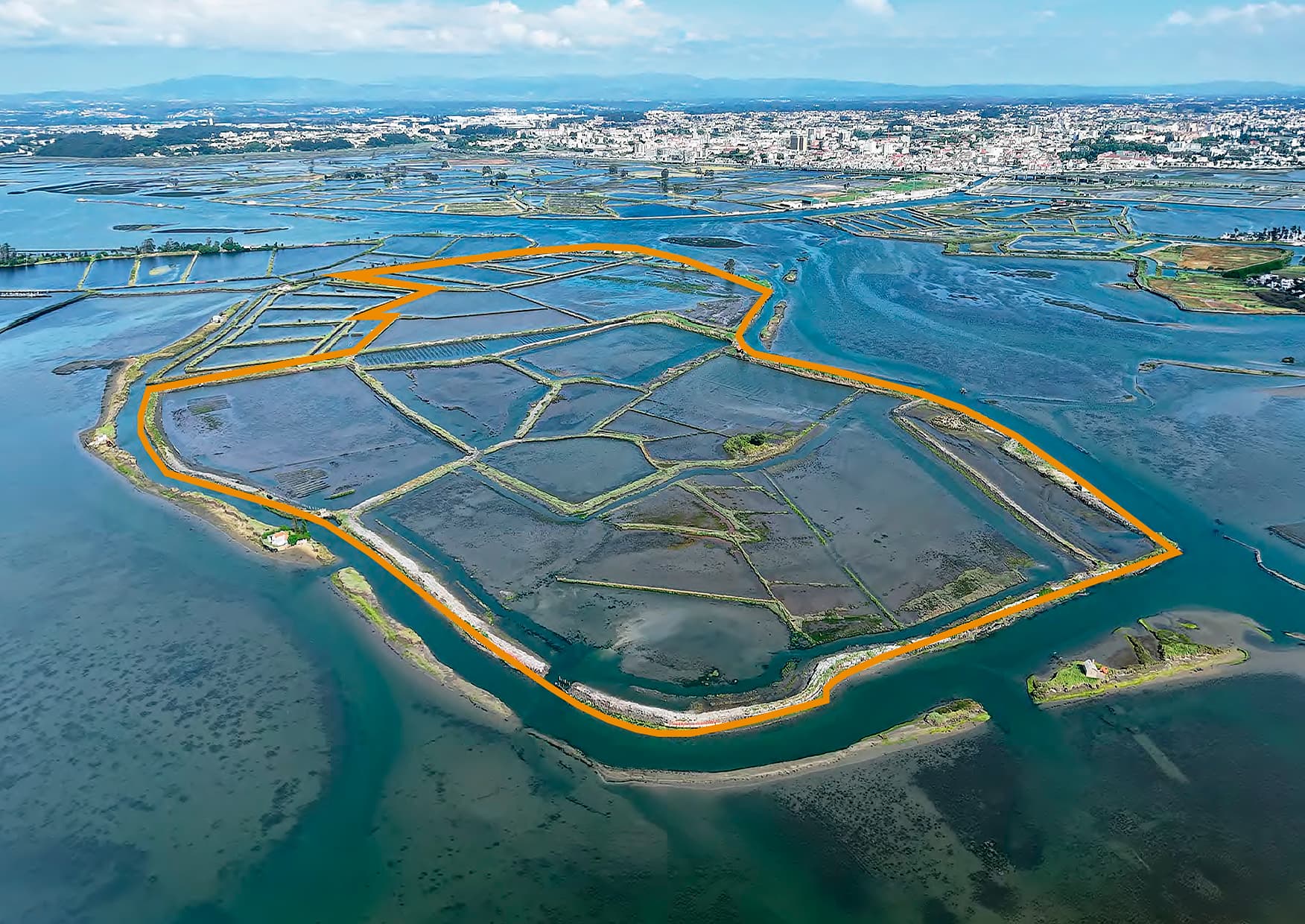 Ilha dos Puxadoiros · Ria de Aveiro — imagen 2