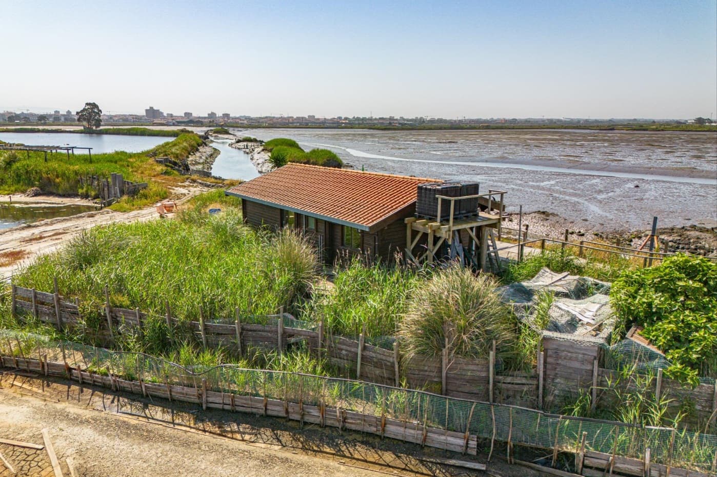 Ilha dos Puxadoiros · Ria de Aveiro — imagen 15