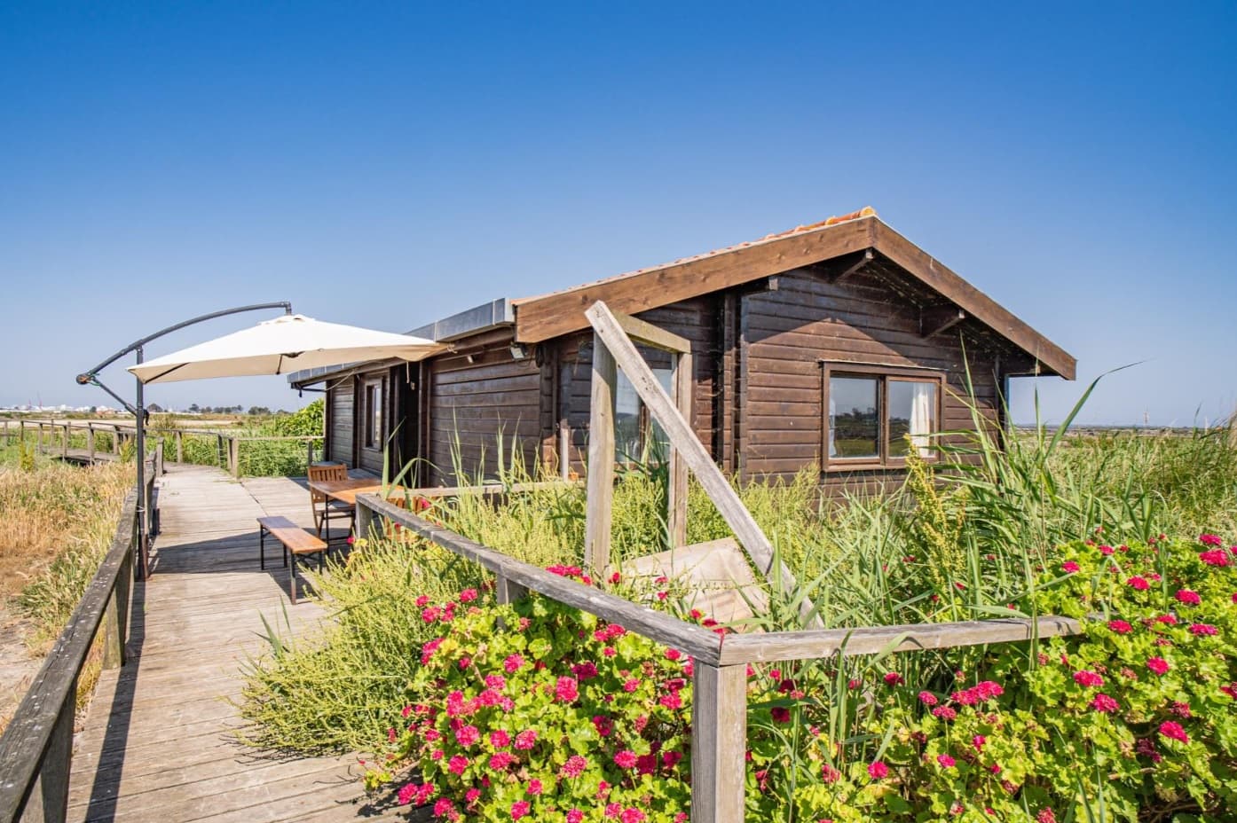 Ilha dos Puxadoiros · Ria de Aveiro — imagen 16