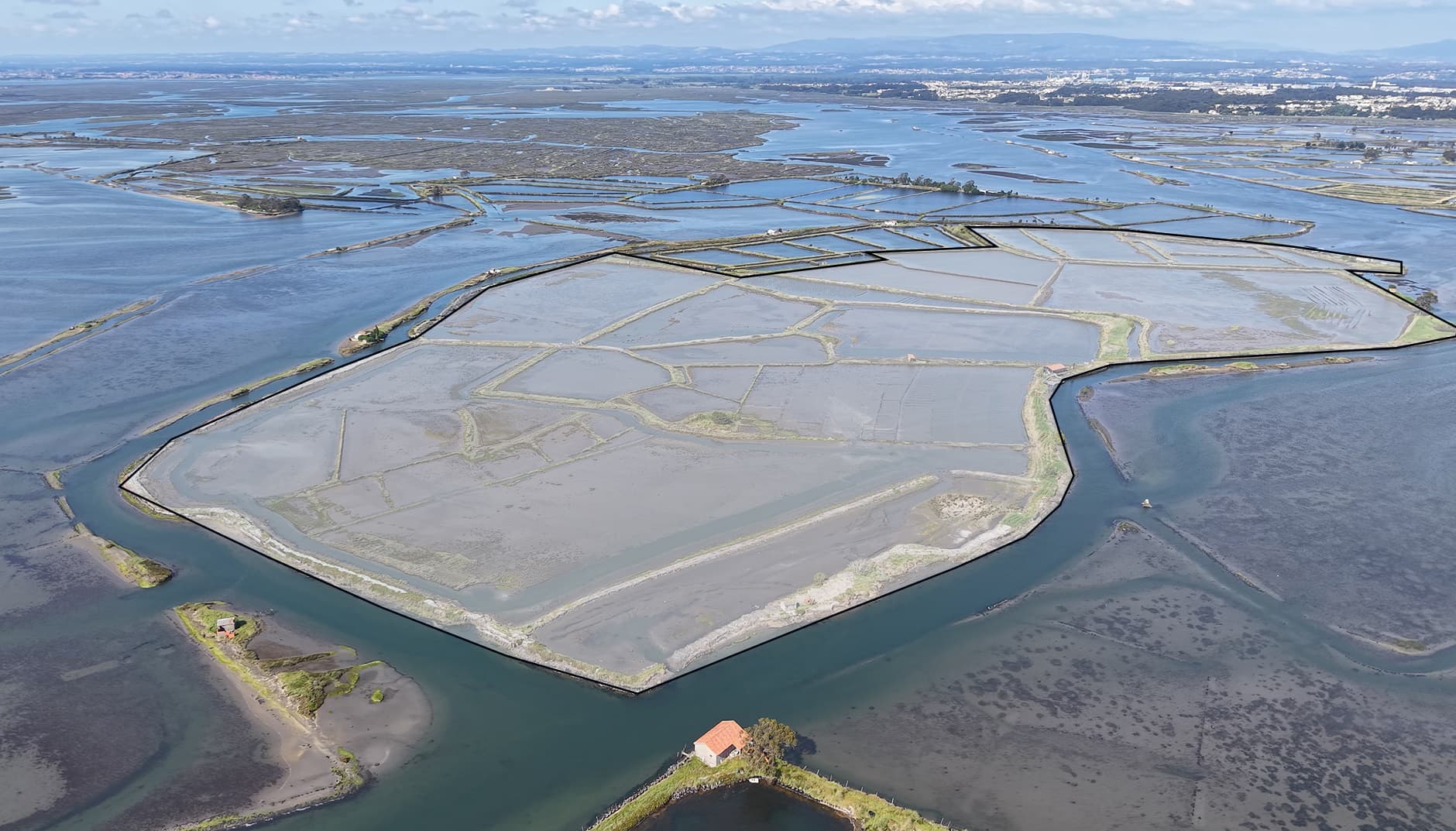 Ilha dos Puxadoiros · Ria de Aveiro — imagen 6