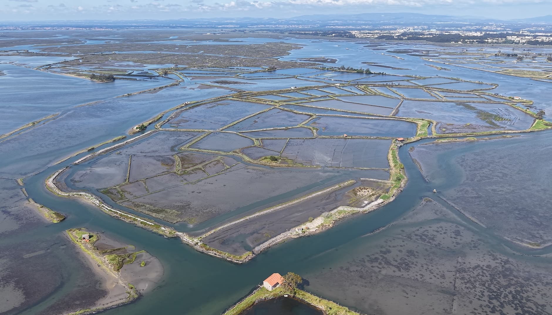 Ilha dos Puxadoiros · Ria de Aveiro — imagen 1