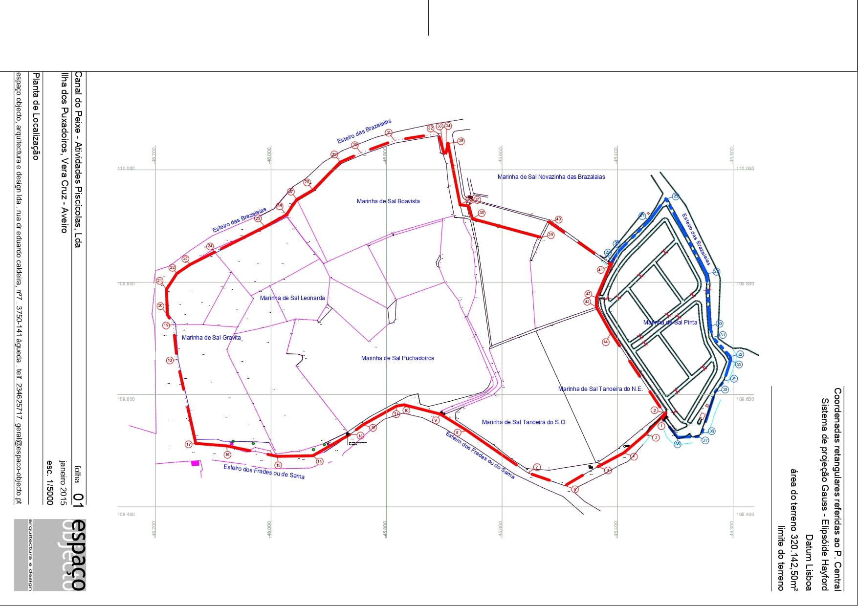 Ilha dos Puxadoiros · Ria de Aveiro — imagen 9