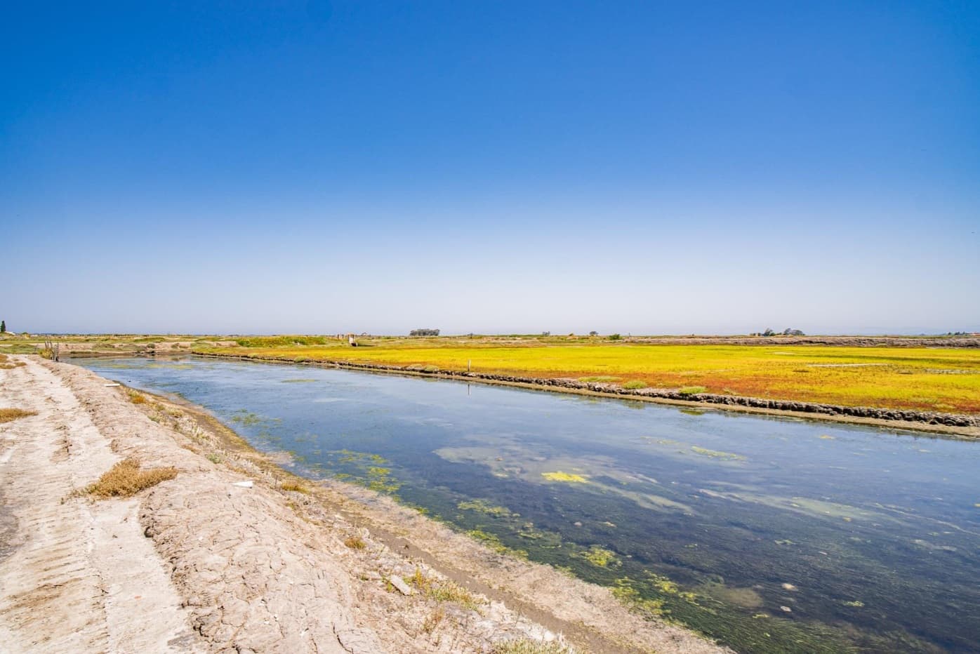 Ilha dos Puxadoiros · Ria de Aveiro — imagen 10