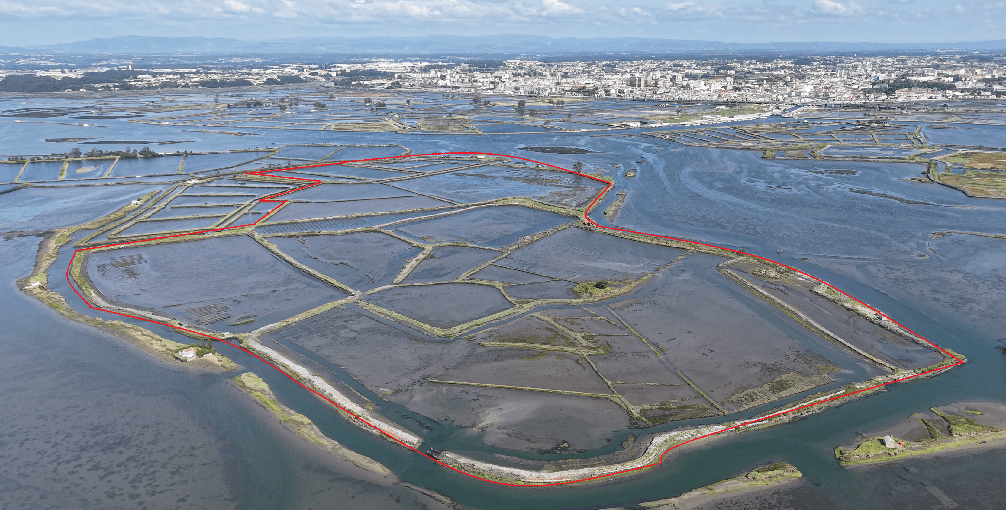 Ilha dos Puxadoiros · Ria de Aveiro — imagen 7