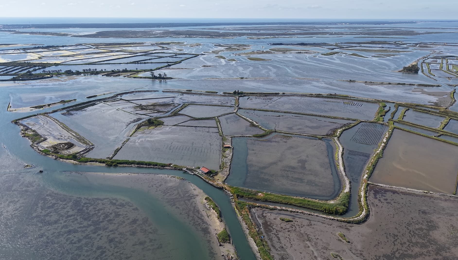 Ilha dos Puxadoiros · Ria de Aveiro — imagen 3