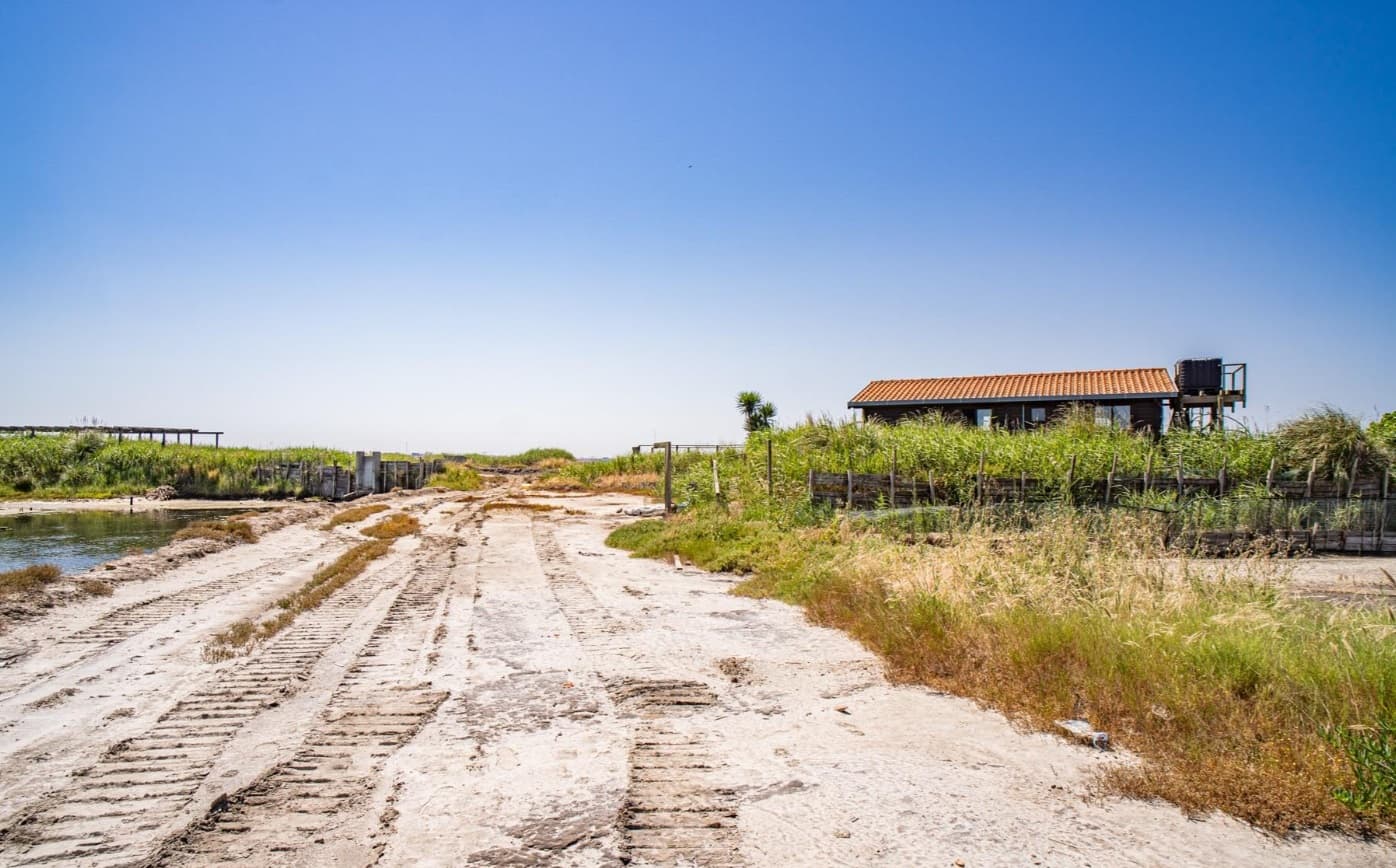 Ilha dos Puxadoiros · Ria de Aveiro — imagen 13
