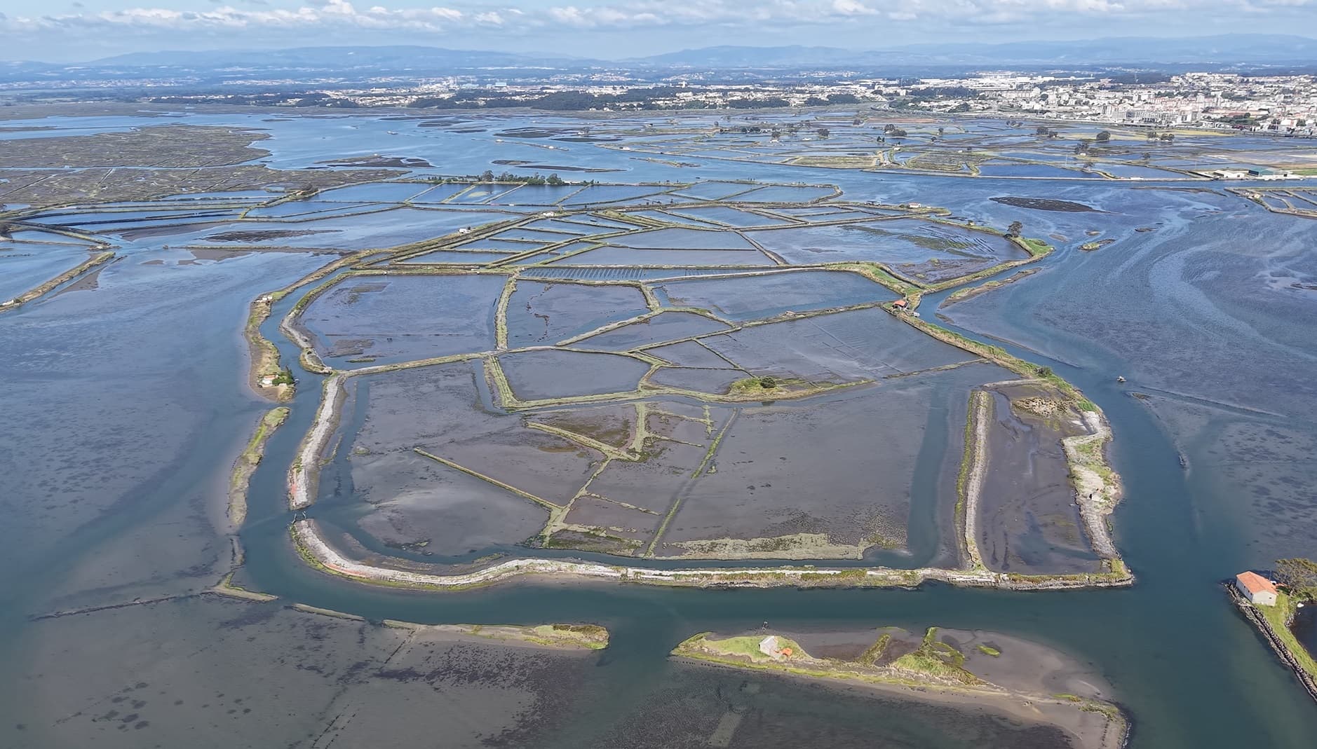 Ilha dos Puxadoiros · Ria de Aveiro — imagen 4