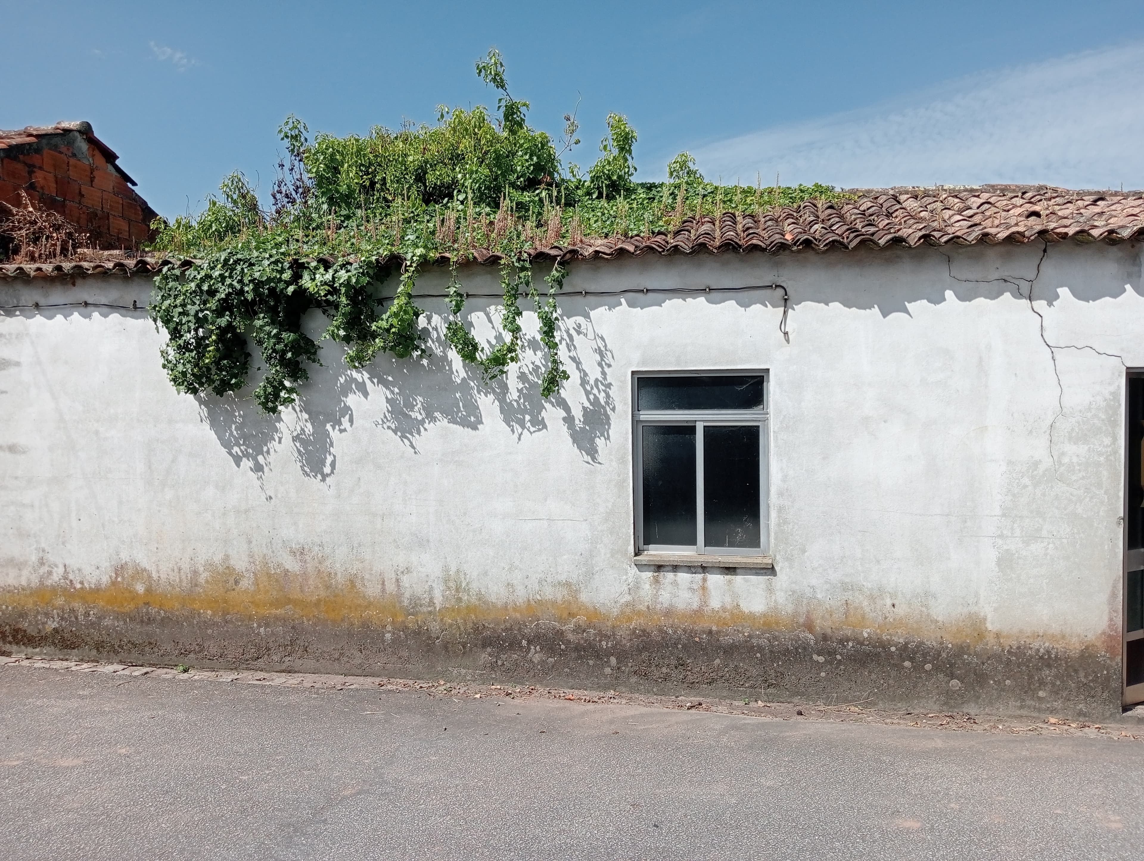 Moradia · São João de Loure e Frossos, Albergaria a Velha — imagem 2