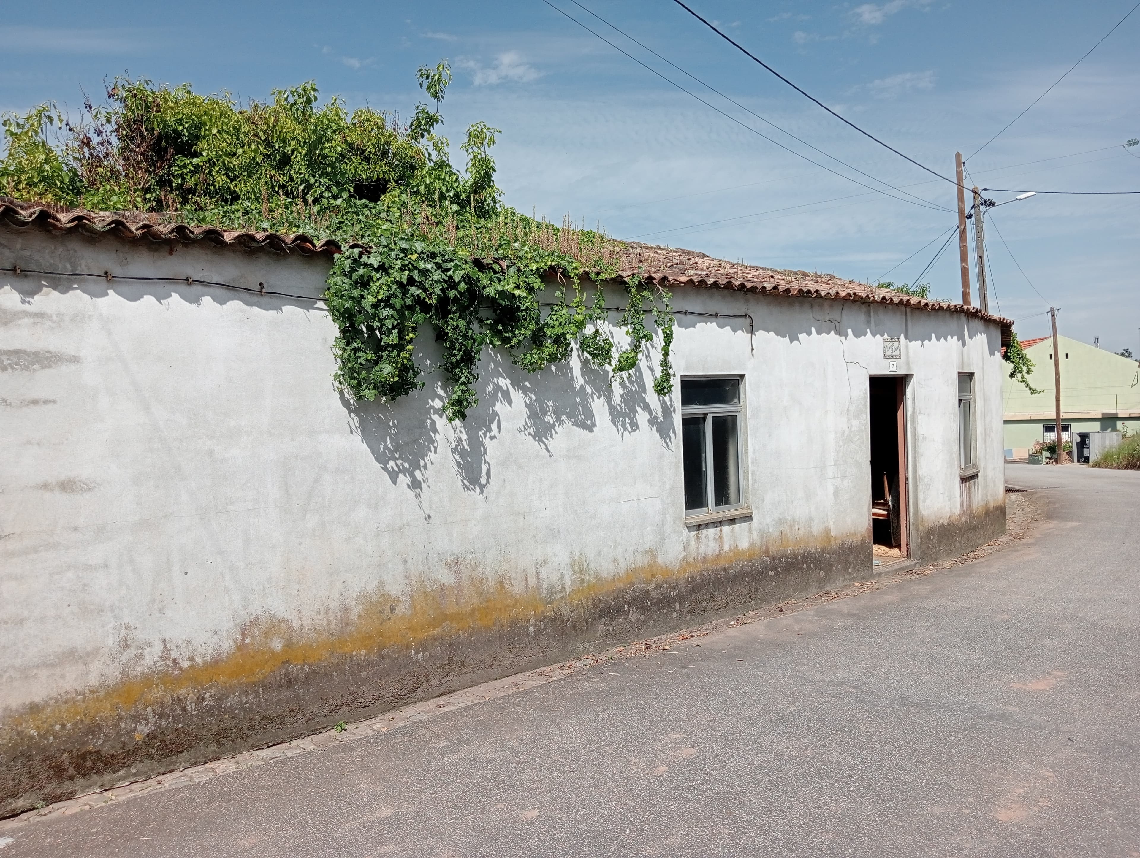 Moradia · São João de Loure e Frossos, Albergaria a Velha — imagem 4