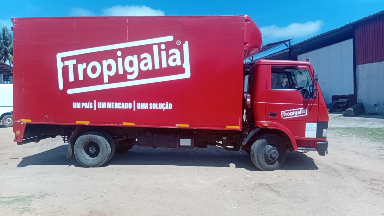 TATA LPT 813 — imagen 2