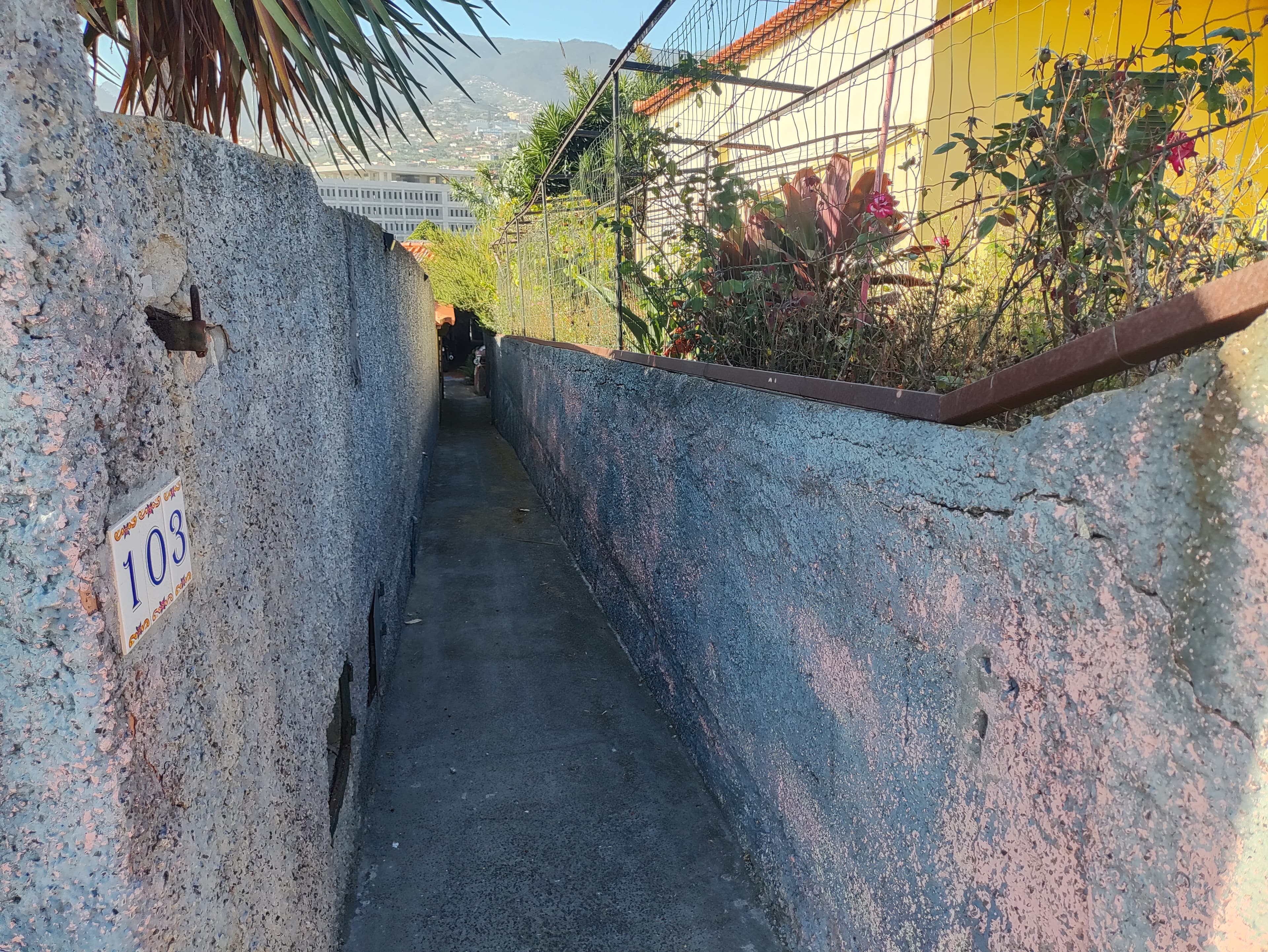 Moradia · São Martinho, Funchal — image 23