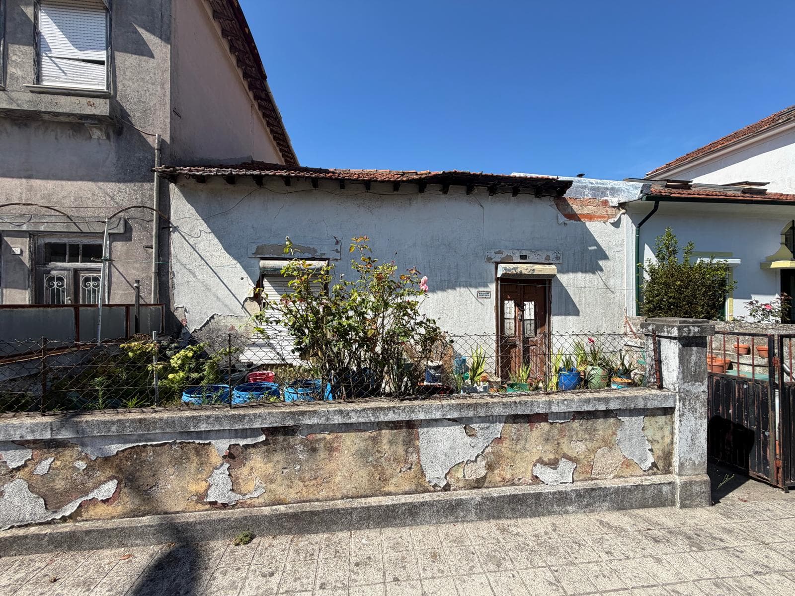 V4 House with garden · Campo Alegre, Porto — image 16