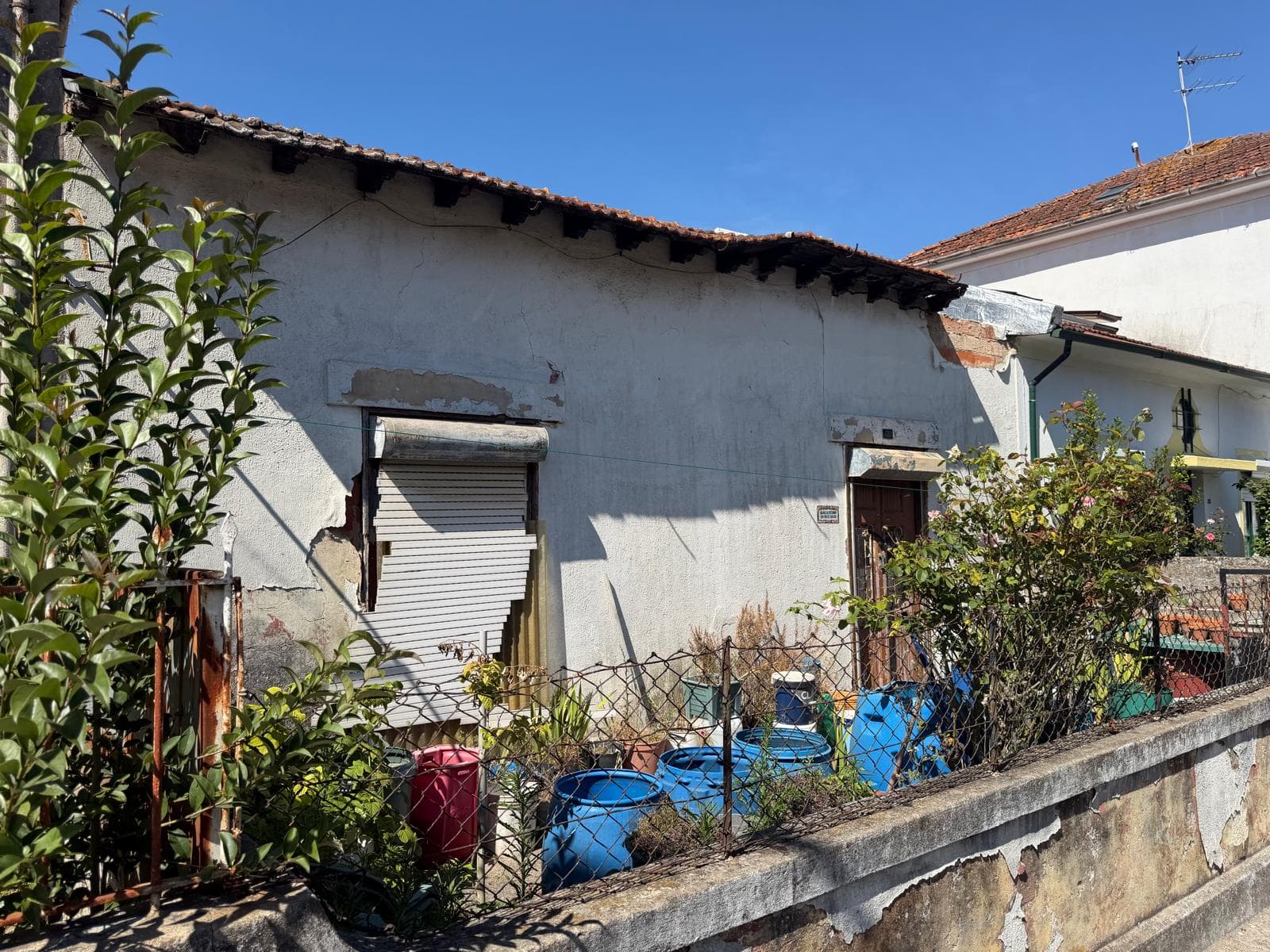 V4 House with garden · Campo Alegre, Porto — image 17
