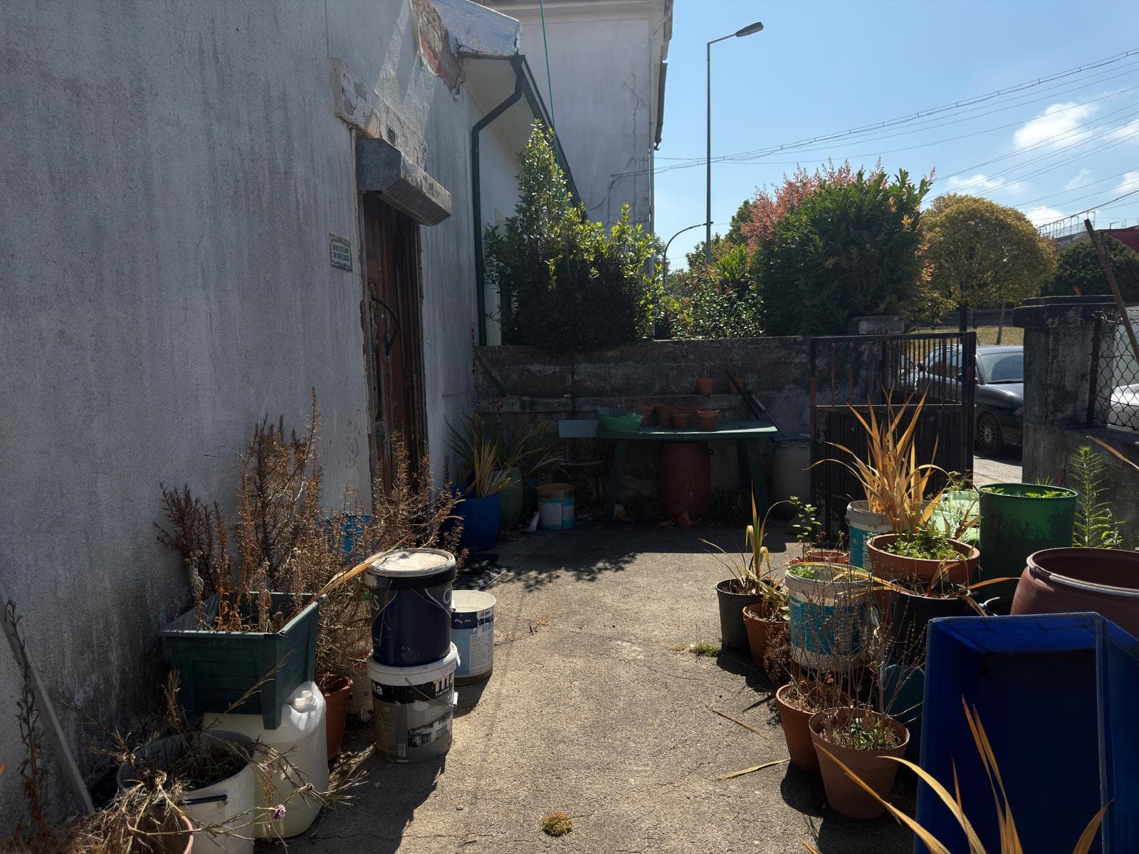 V4 House with garden · Campo Alegre, Porto — image 36
