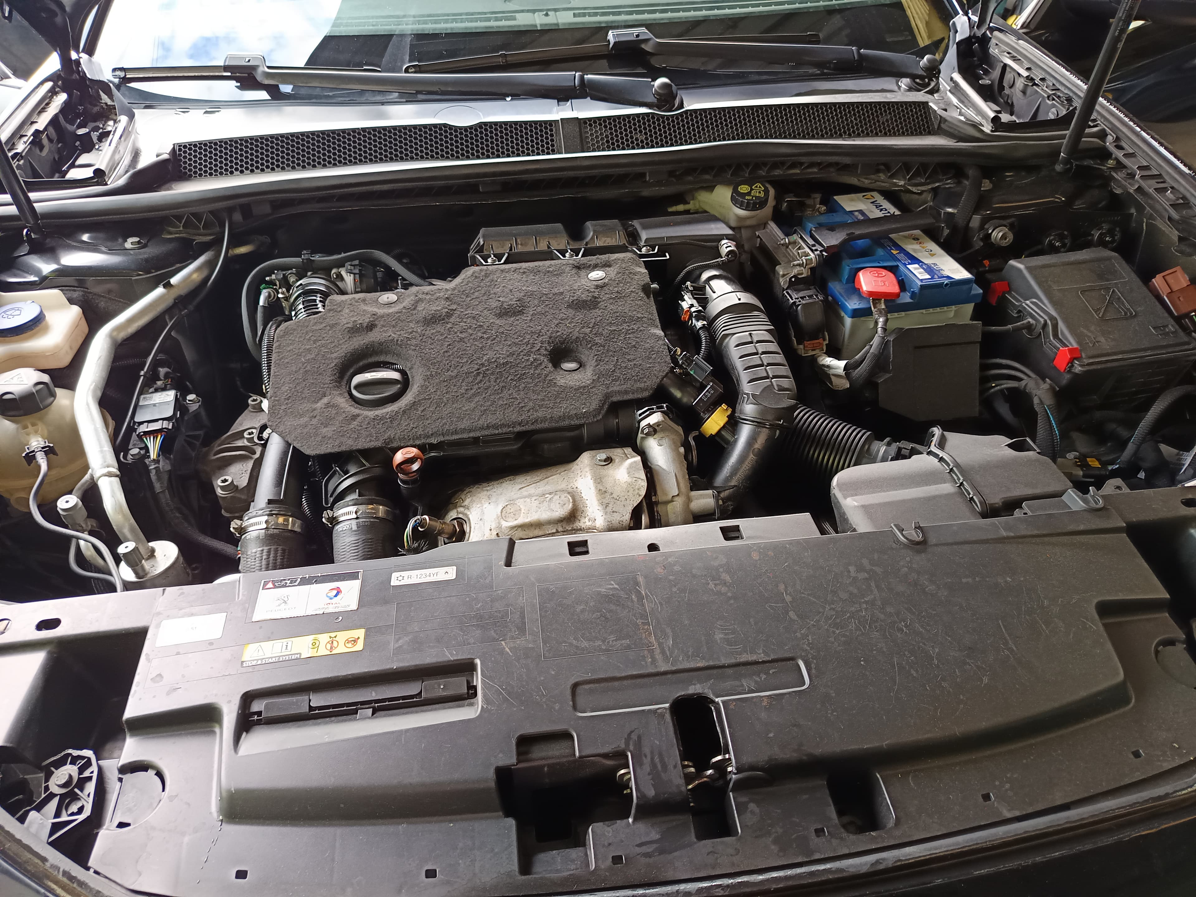 Peugeot 508 · Ano 2019 — image 14