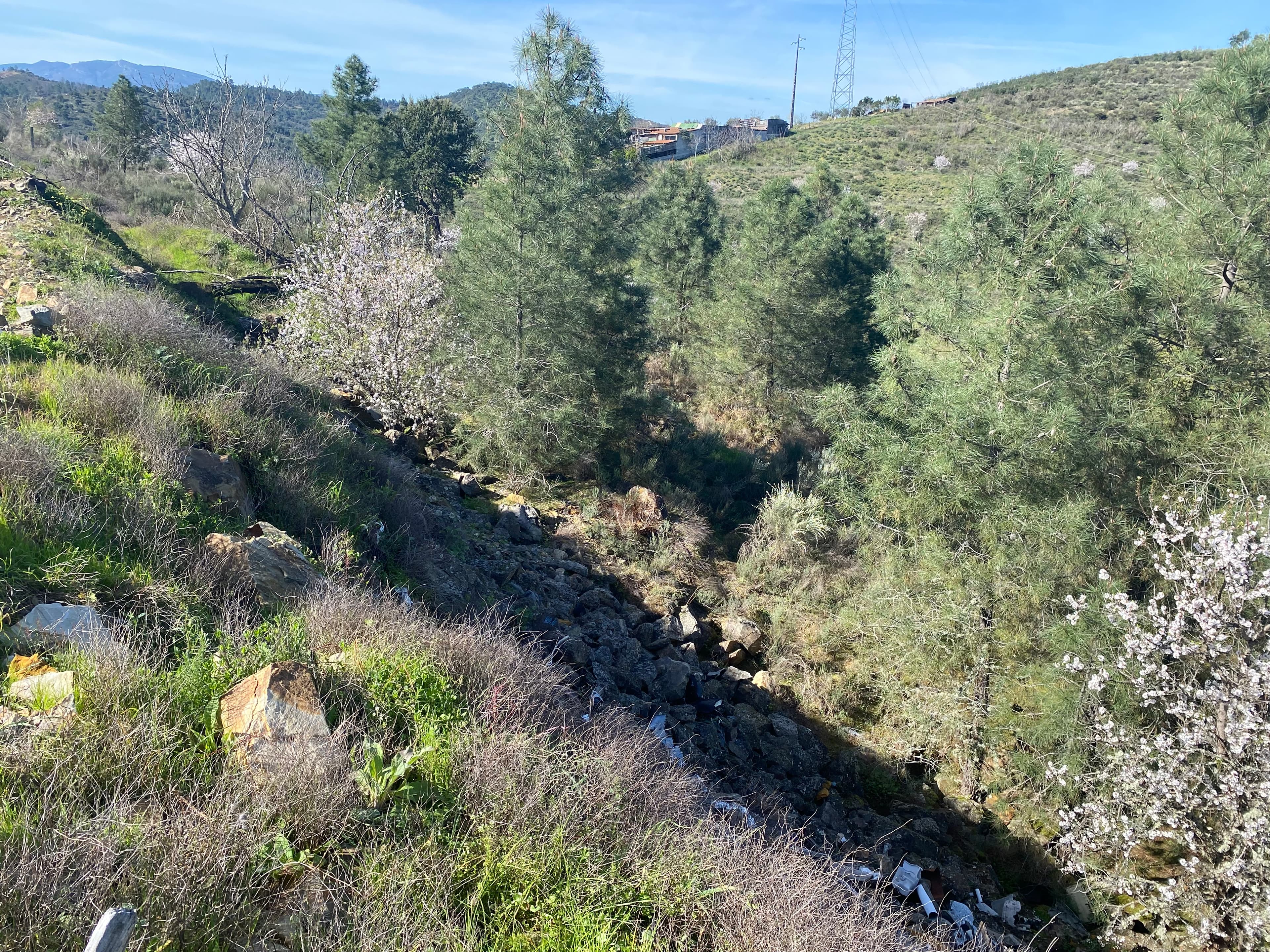 Terrenos · Frechas, Mirandela — imagem 5