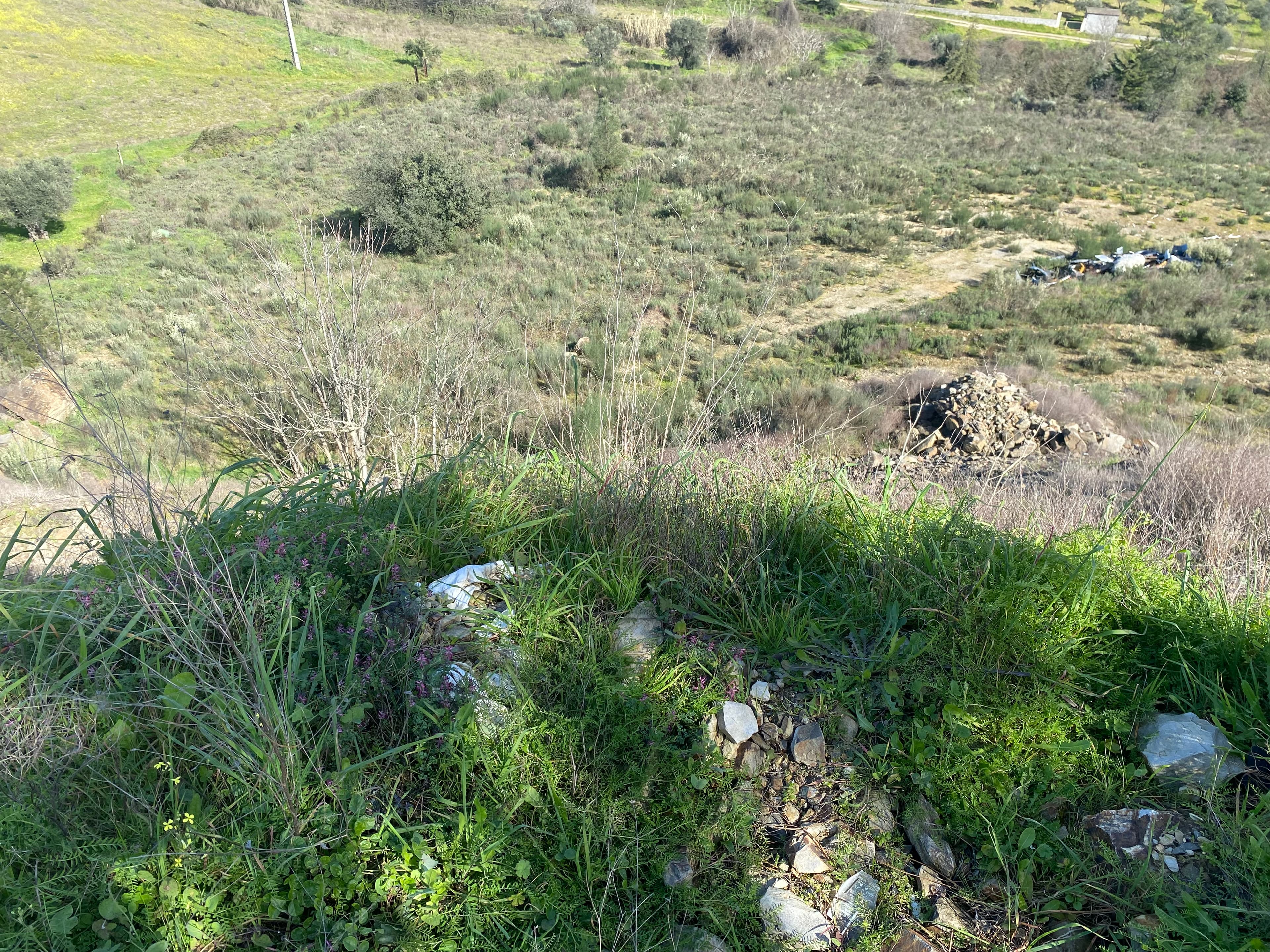 Terrenos · Frechas, Mirandela — imagem 3