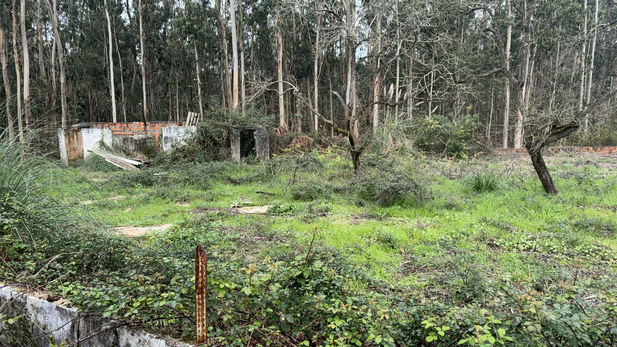 Terreno para Construção · Arada, Ovar — imagen 5
