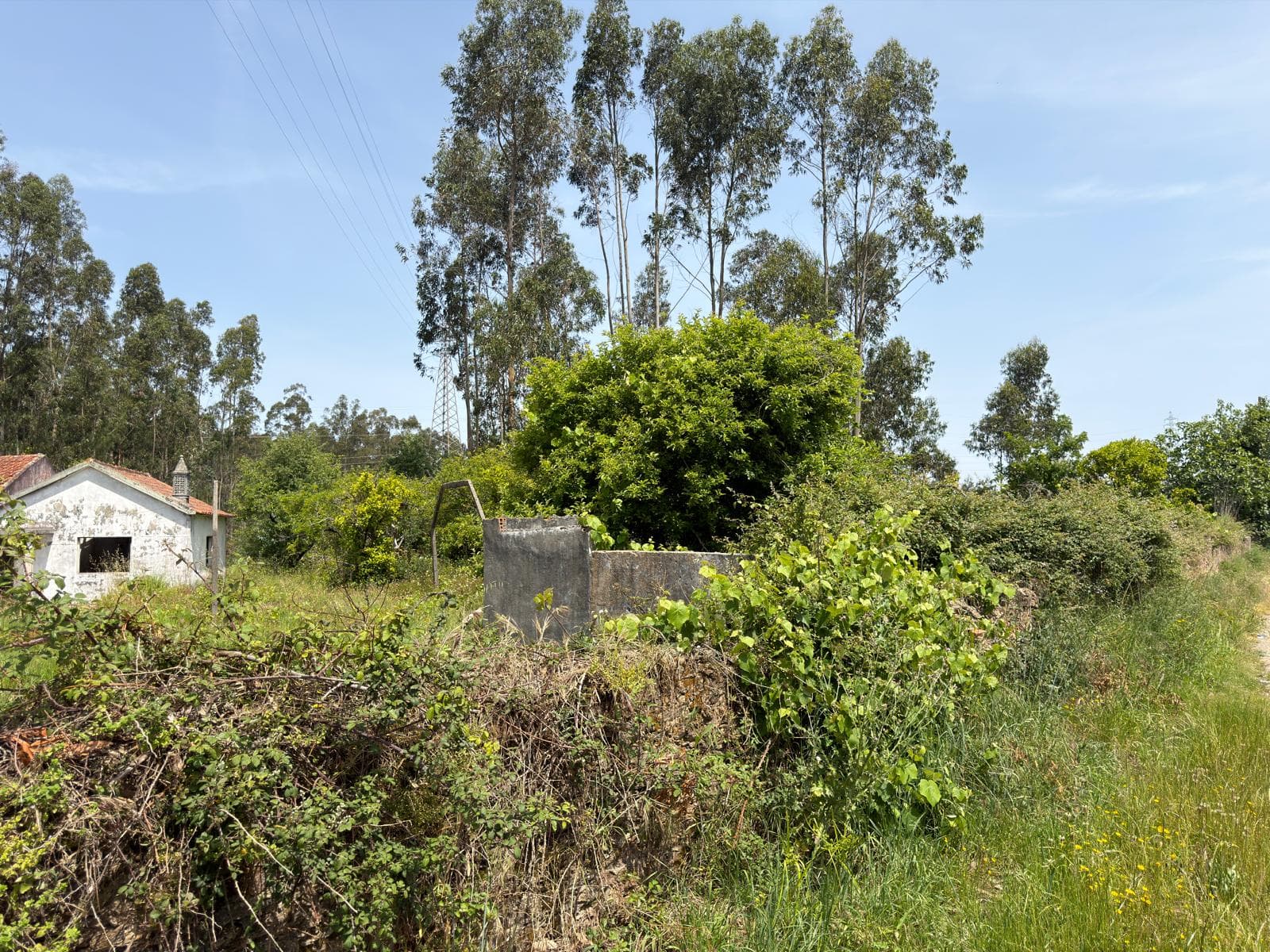 Terreno para Construção · Arada, Ovar — imagen 4