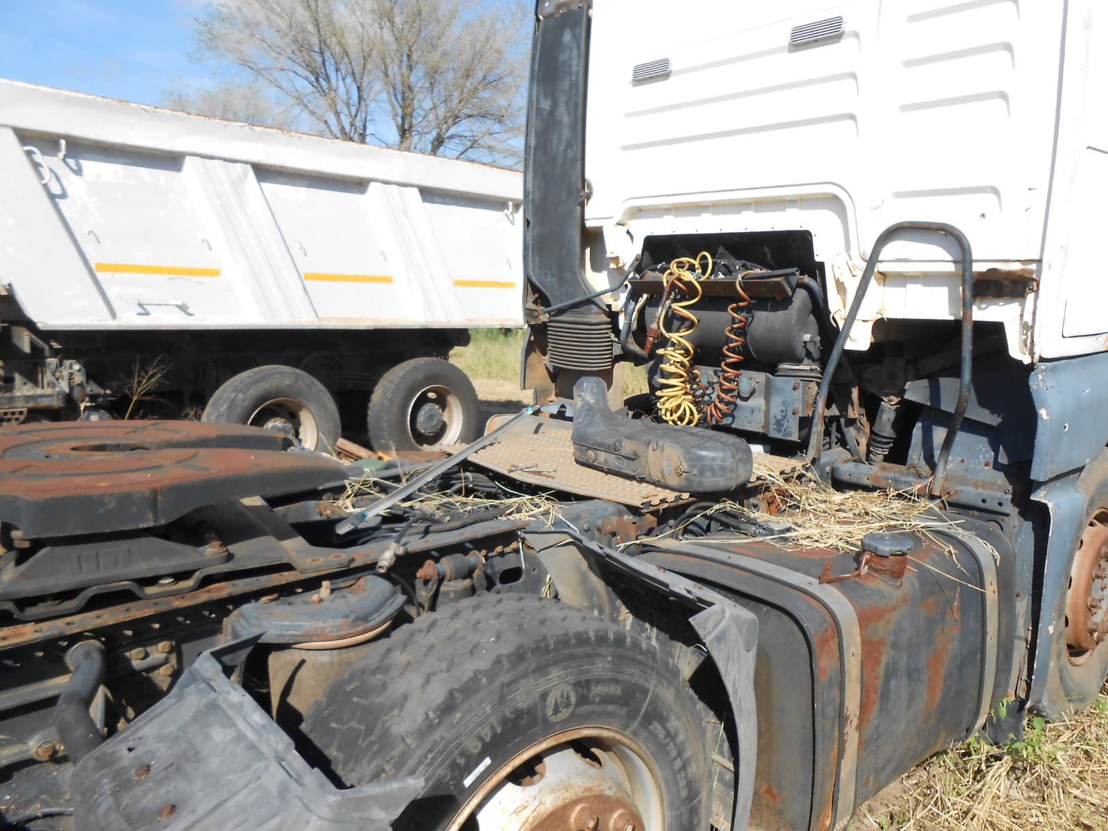 Horse Truck 6X4 - 2013 — imagem 6