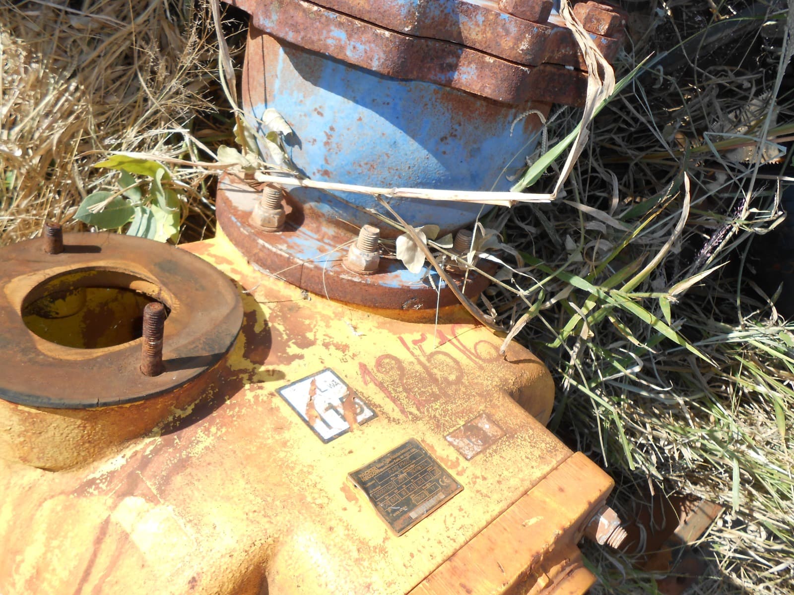 Diesel Water Pump 6" - 2018 — imagen 4