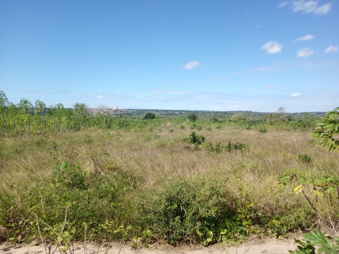 Infrastructure on land with 207.71 hectares - Nacala Porto — image 5