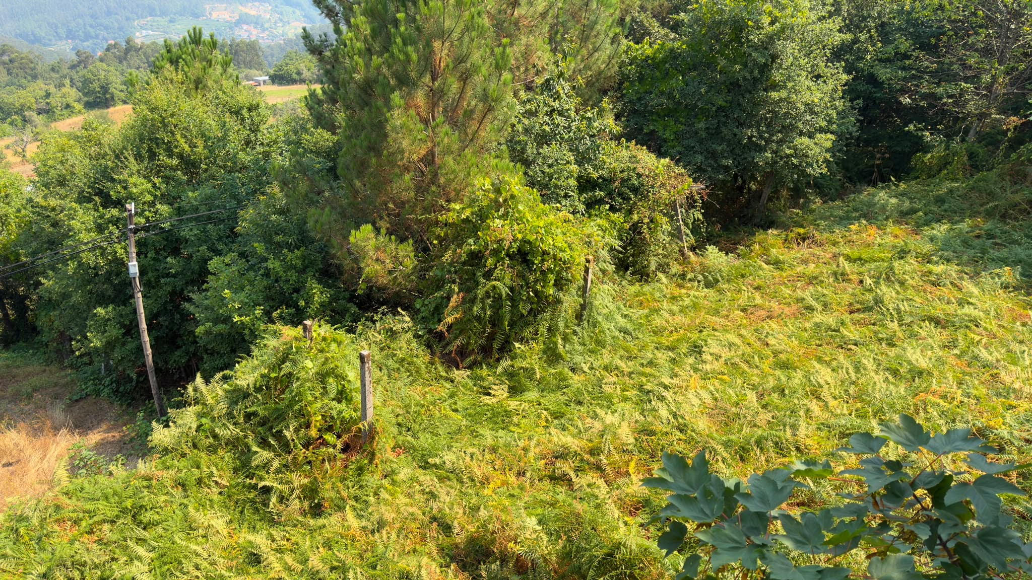 Quinhão Hereditário · Rossas, Arouca — imagen 5